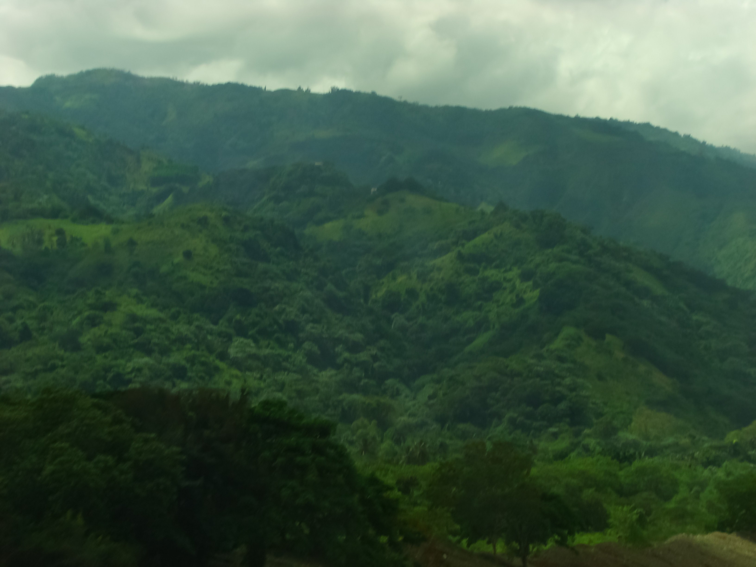 Пейзажи. Фотограф в Санкт-Петербурге Наталия Денисова