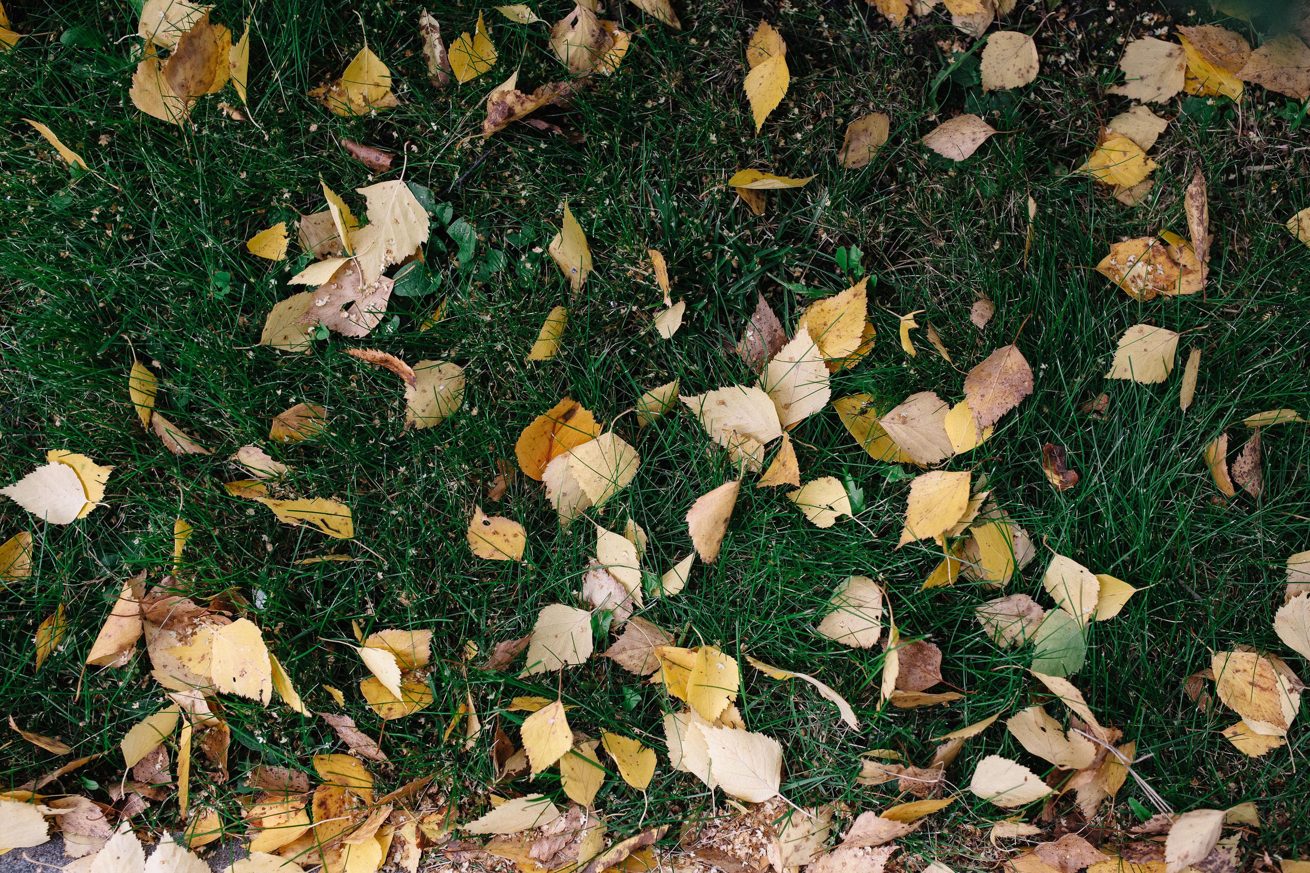 Выписка из род дома. Семейный и свадебный фотограф в Майкопе Михаил Мартиросян