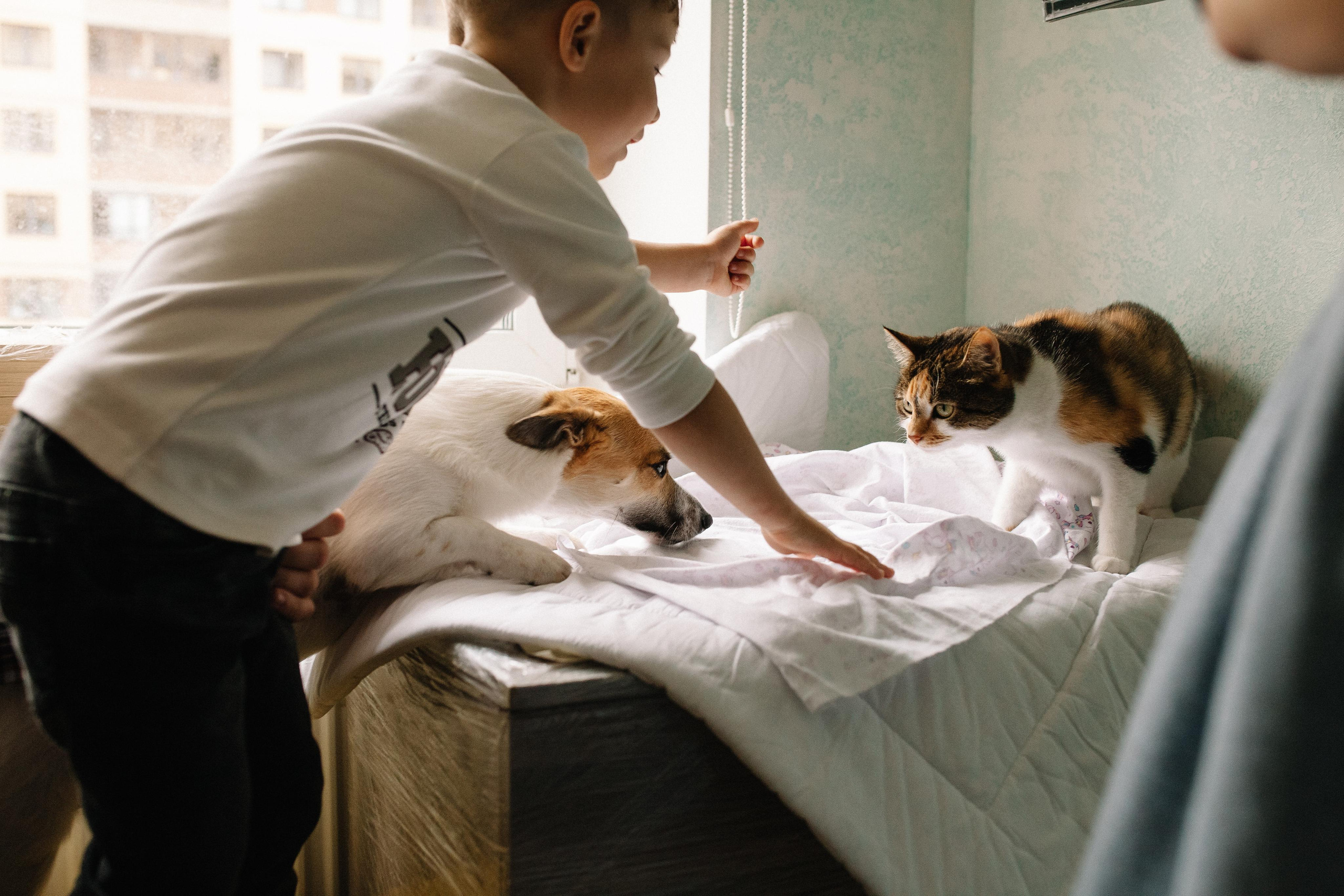 Выписка из род дома. Семейный и свадебный фотограф в Майкопе Михаил Мартиросян