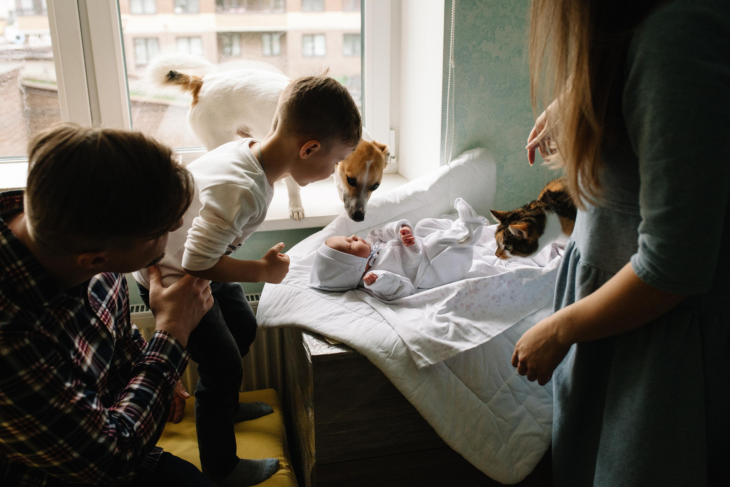 Выписка из род дома. Семейный и свадебный фотограф в Майкопе Михаил Мартиросян