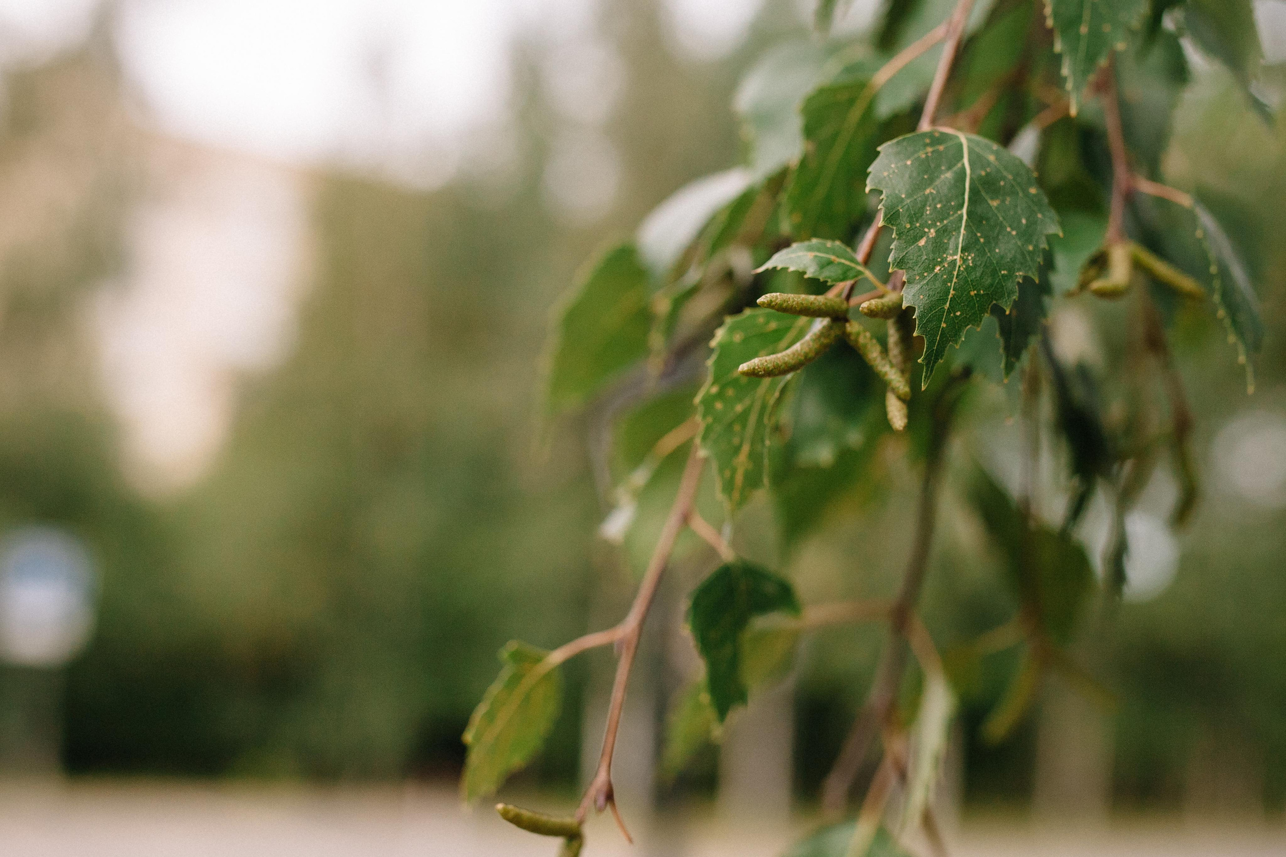 Выписка из род дома. Семейный и свадебный фотограф в Майкопе Михаил Мартиросян
