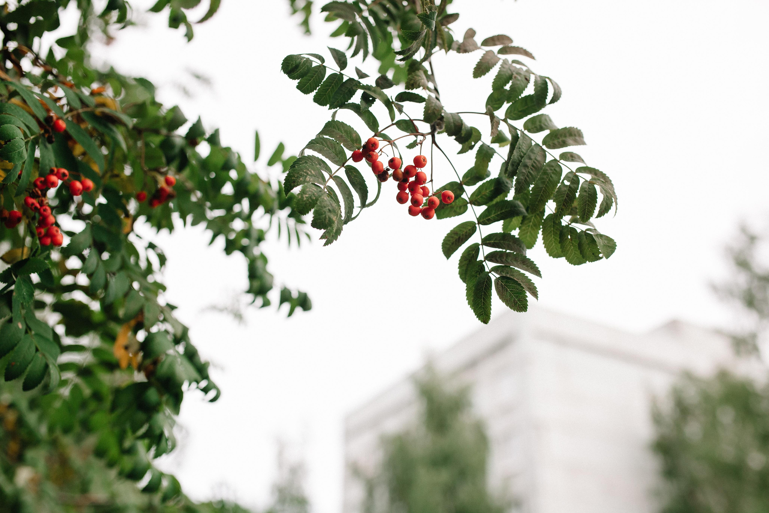 Выписка из род дома. Семейный и свадебный фотограф в Майкопе Михаил Мартиросян
