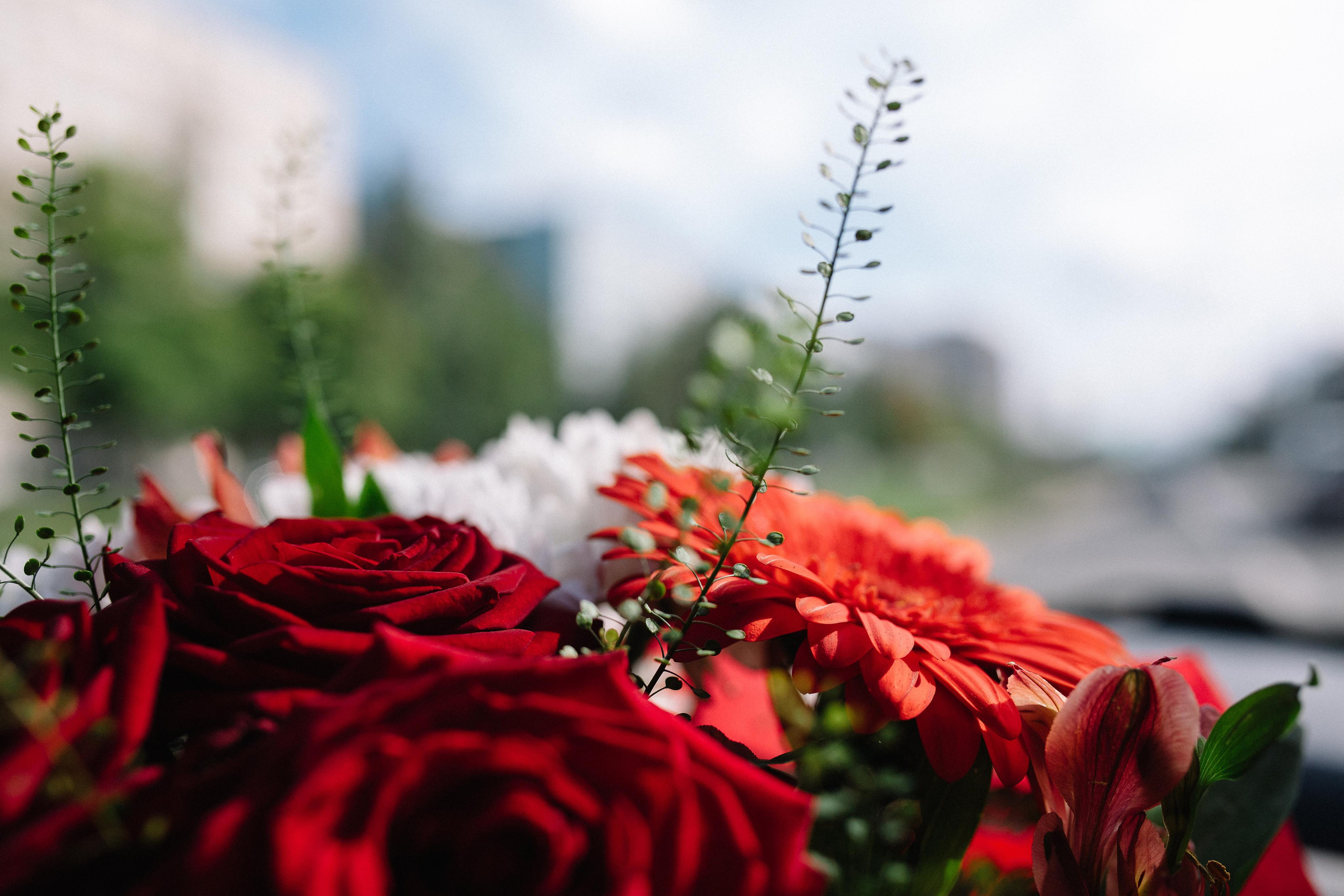 Выписка из род дома. Семейный и свадебный фотограф в Майкопе Михаил Мартиросян