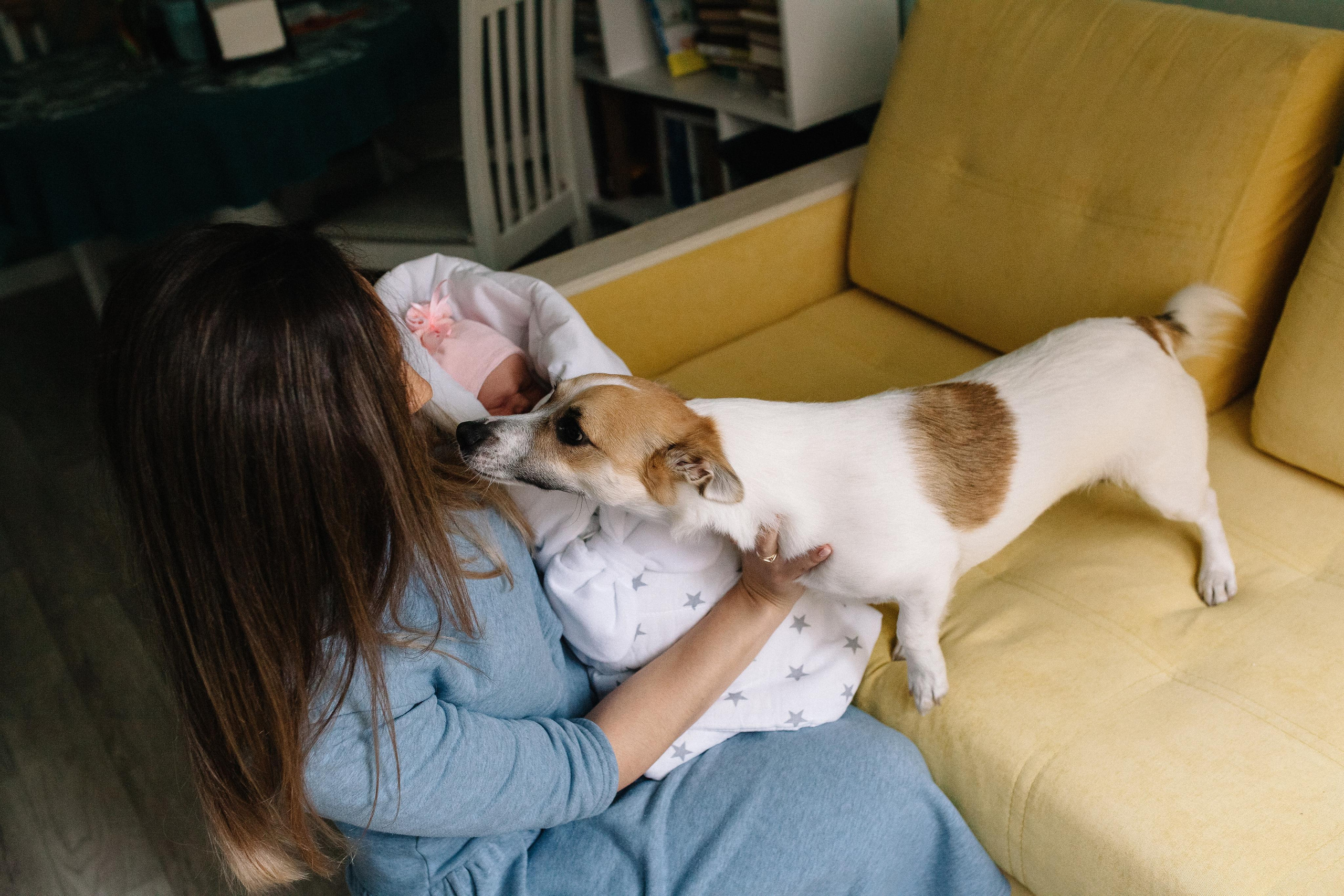 Выписка из род дома. Семейный и свадебный фотограф в Майкопе Михаил Мартиросян