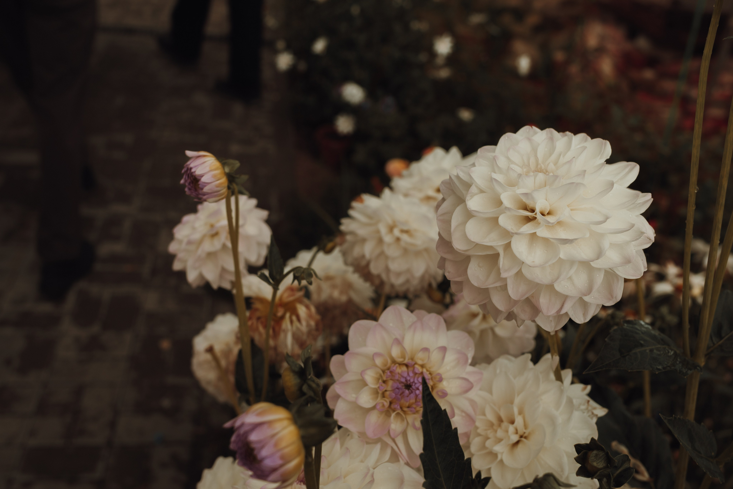 Фотографы Калининграда. Семейный детский фотограф в Калининграде Анна Каратай