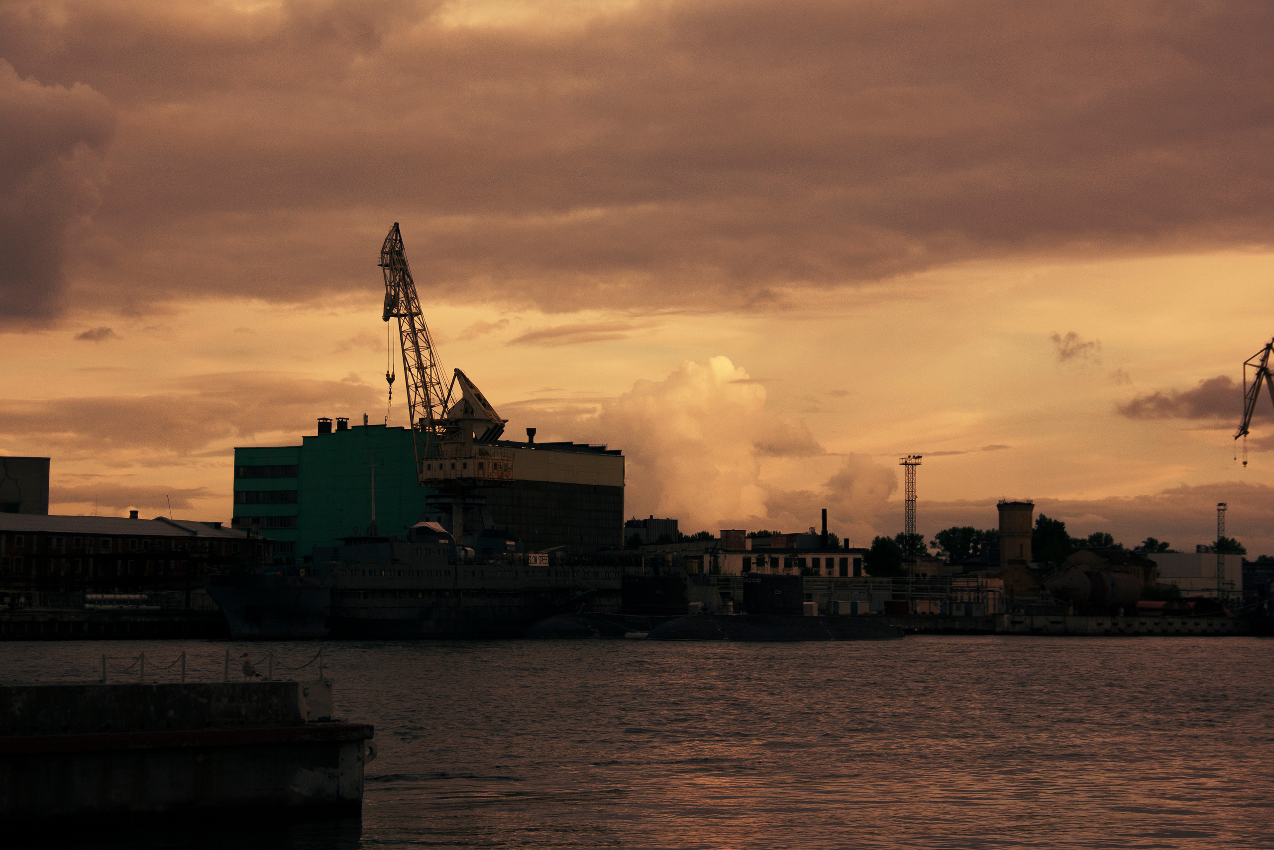 Алексей. Портретный Фотограф Александр «Konevtsoph» В Санкт-Петербурге