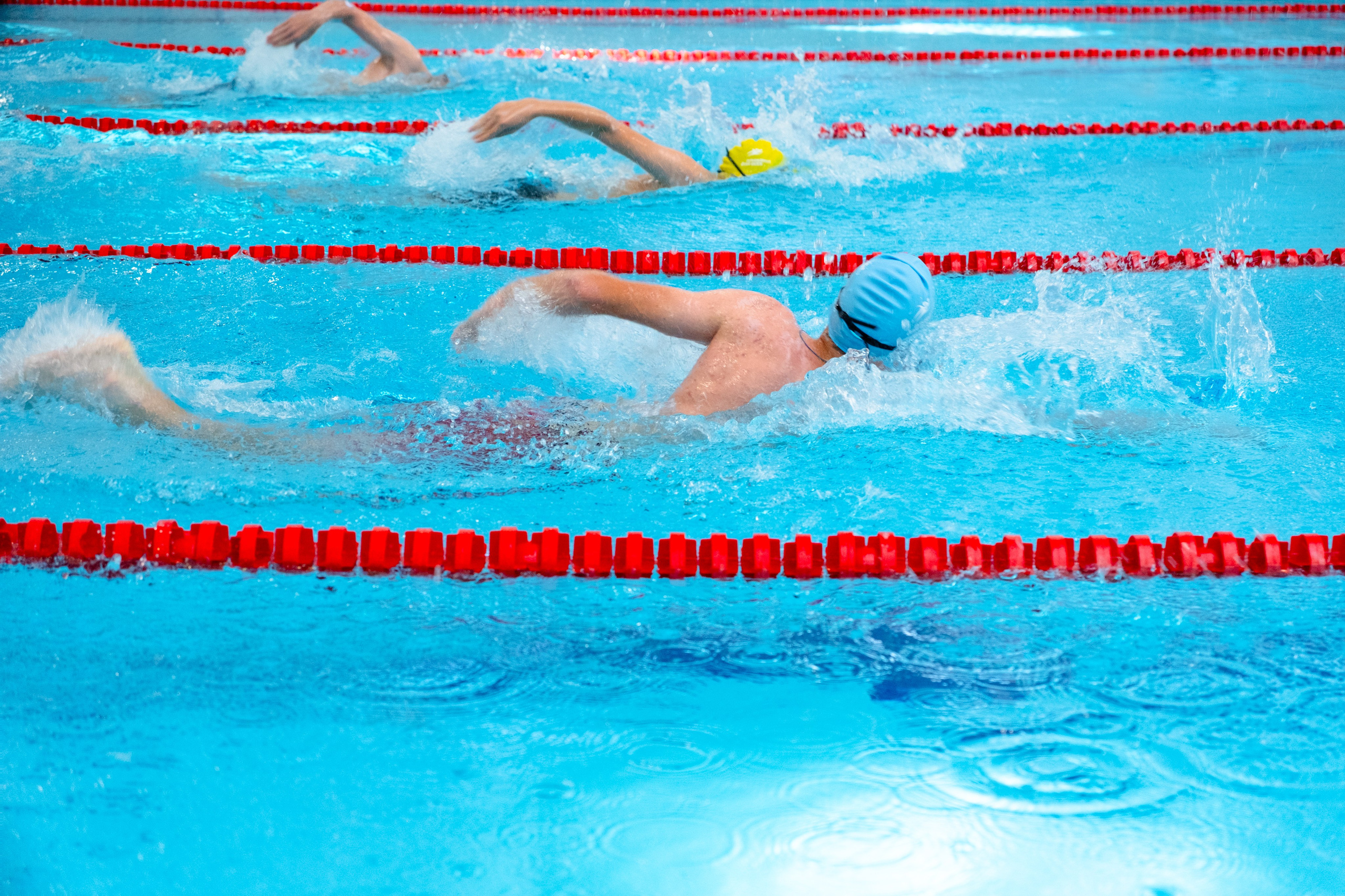 Всероссийский фестиваль «День пловца» в Сириусе. Репортажный фотограф в Сочи Екатерина Вежливцева