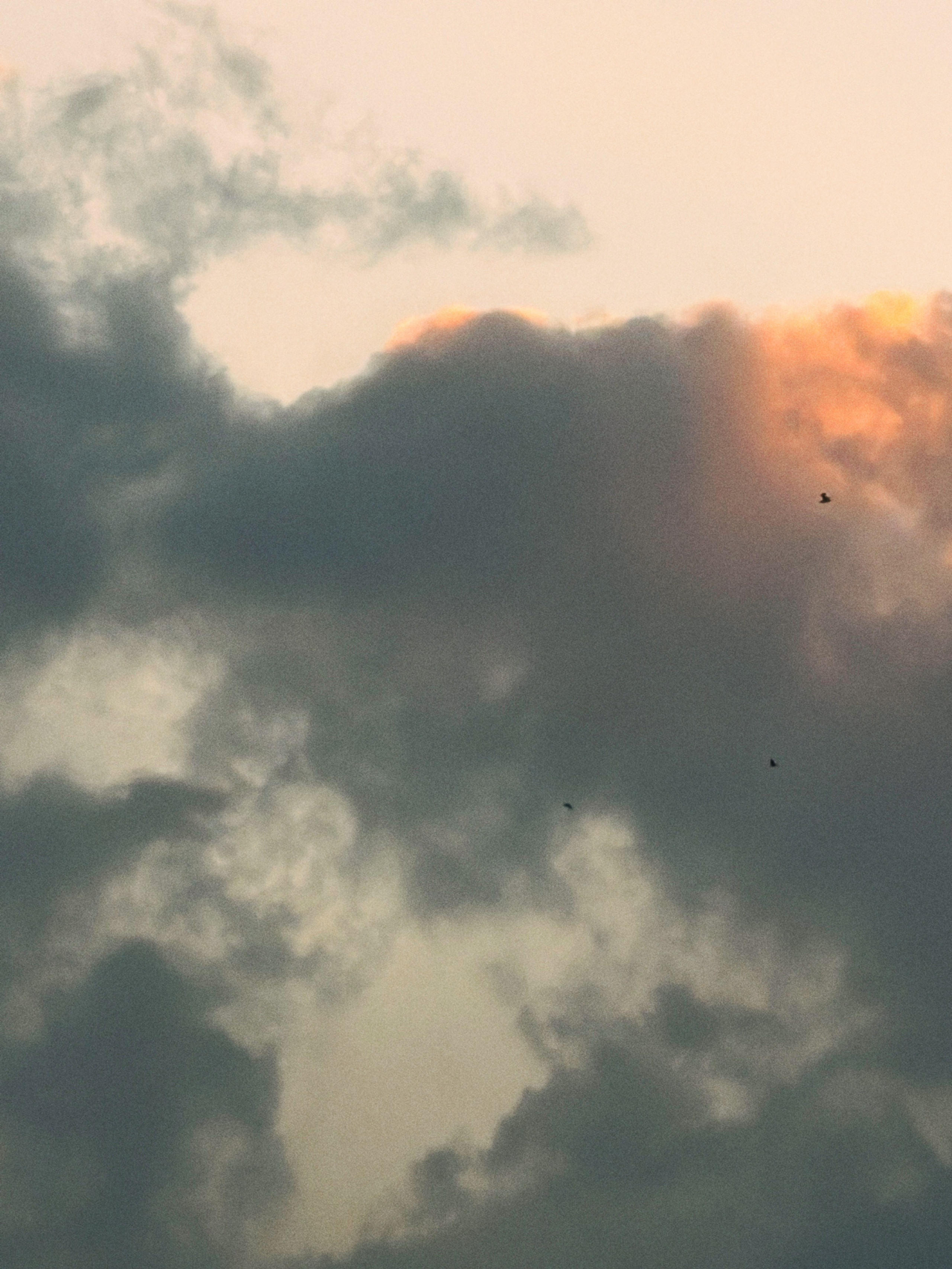 Визуальный дневник. Портретный фотограф в Москве Гахраманова Екатерина