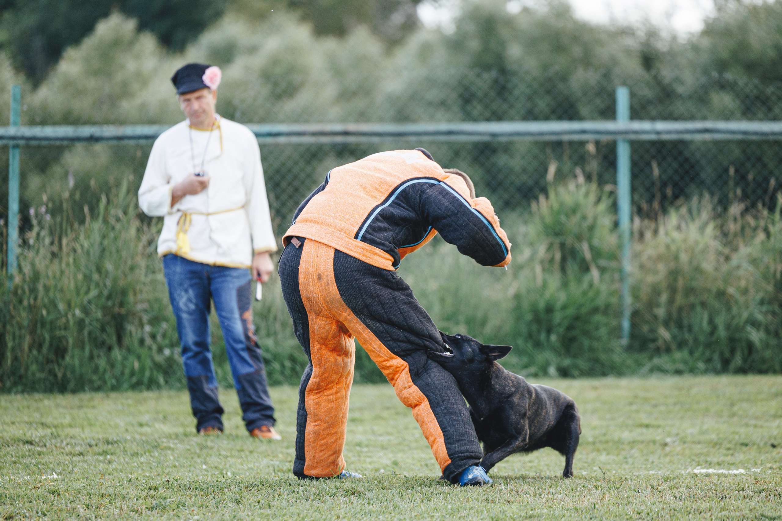 08.08.25-10.08.25 ЧР по мондьорингу г. Вологда. Фотограф-анималист Анна Маринич