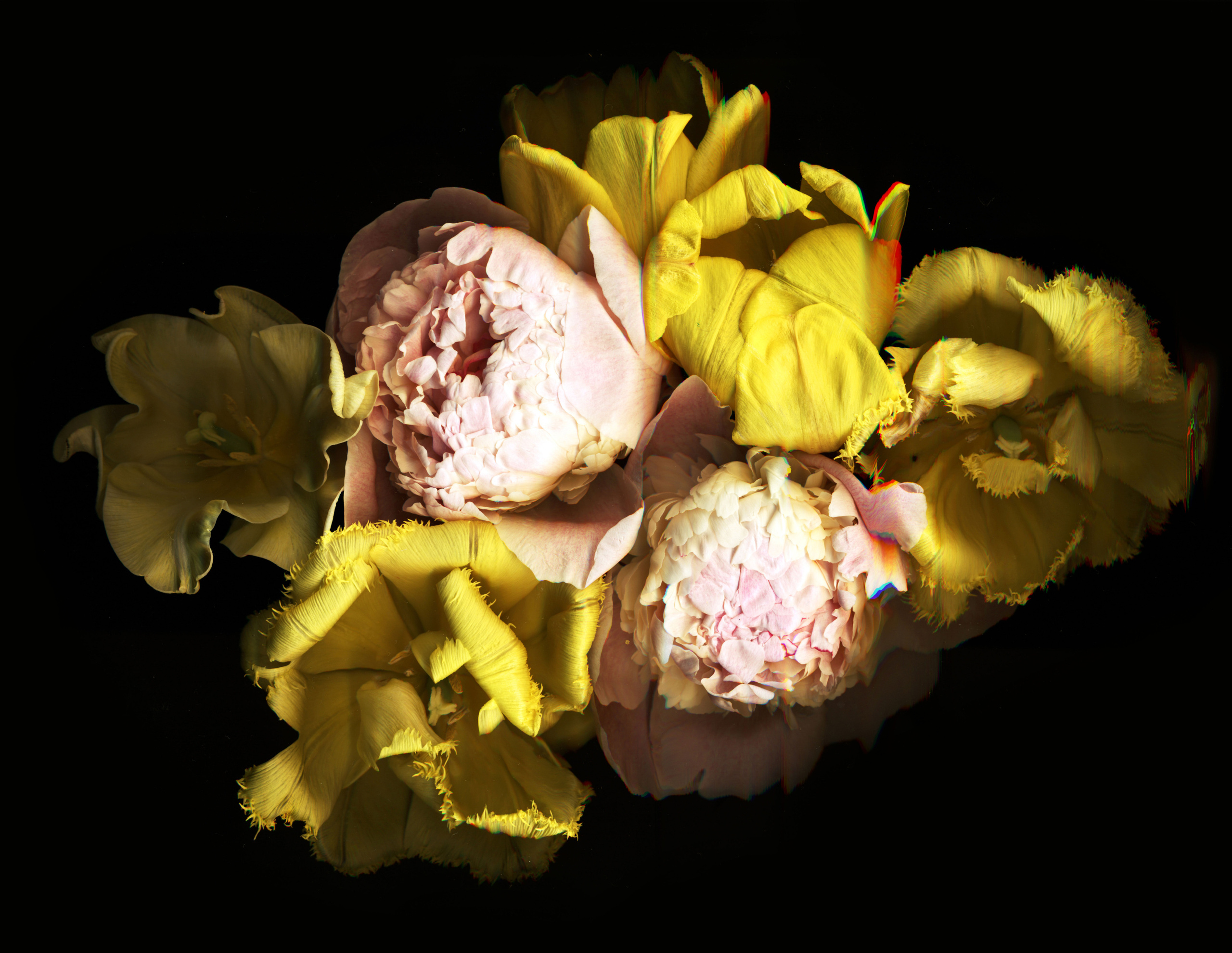 Soulstamina ~ graphic designer & visual artist from St.Petersburg