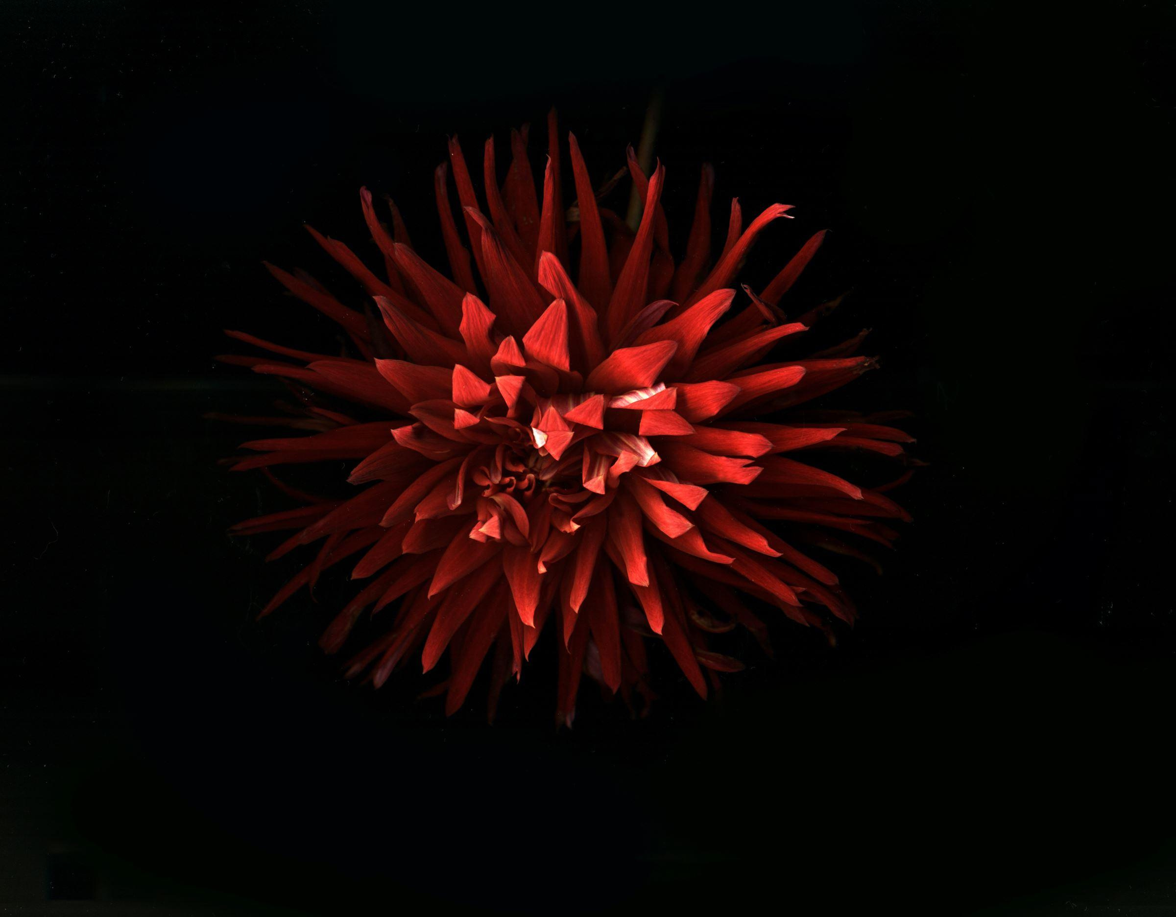 Soulstamina ~ graphic designer & visual artist from St.Petersburg