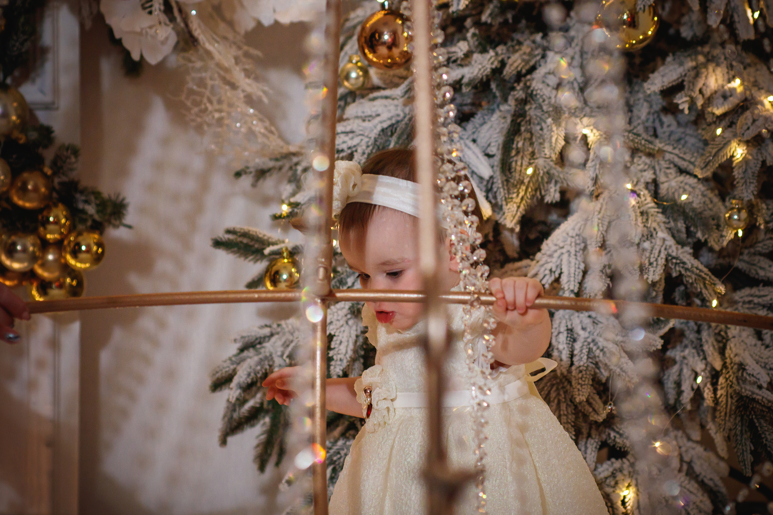 Семейный Новый год в студии FishmannFotoStudio. FOTOELA. Элеонора Щербакова — фотограф счастья в Тамбове