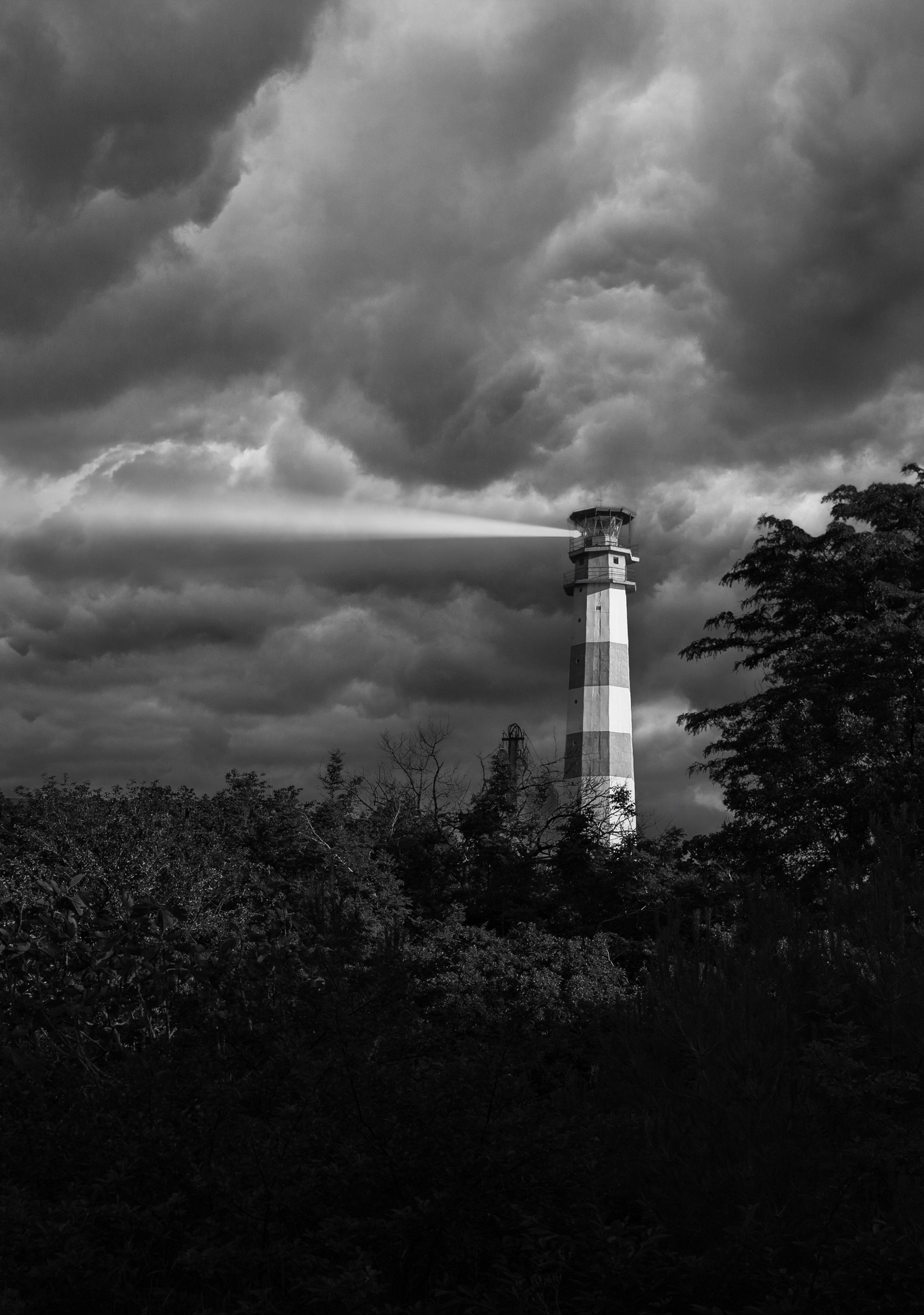 Арт-фото. Михаил Данилов | Фотограф