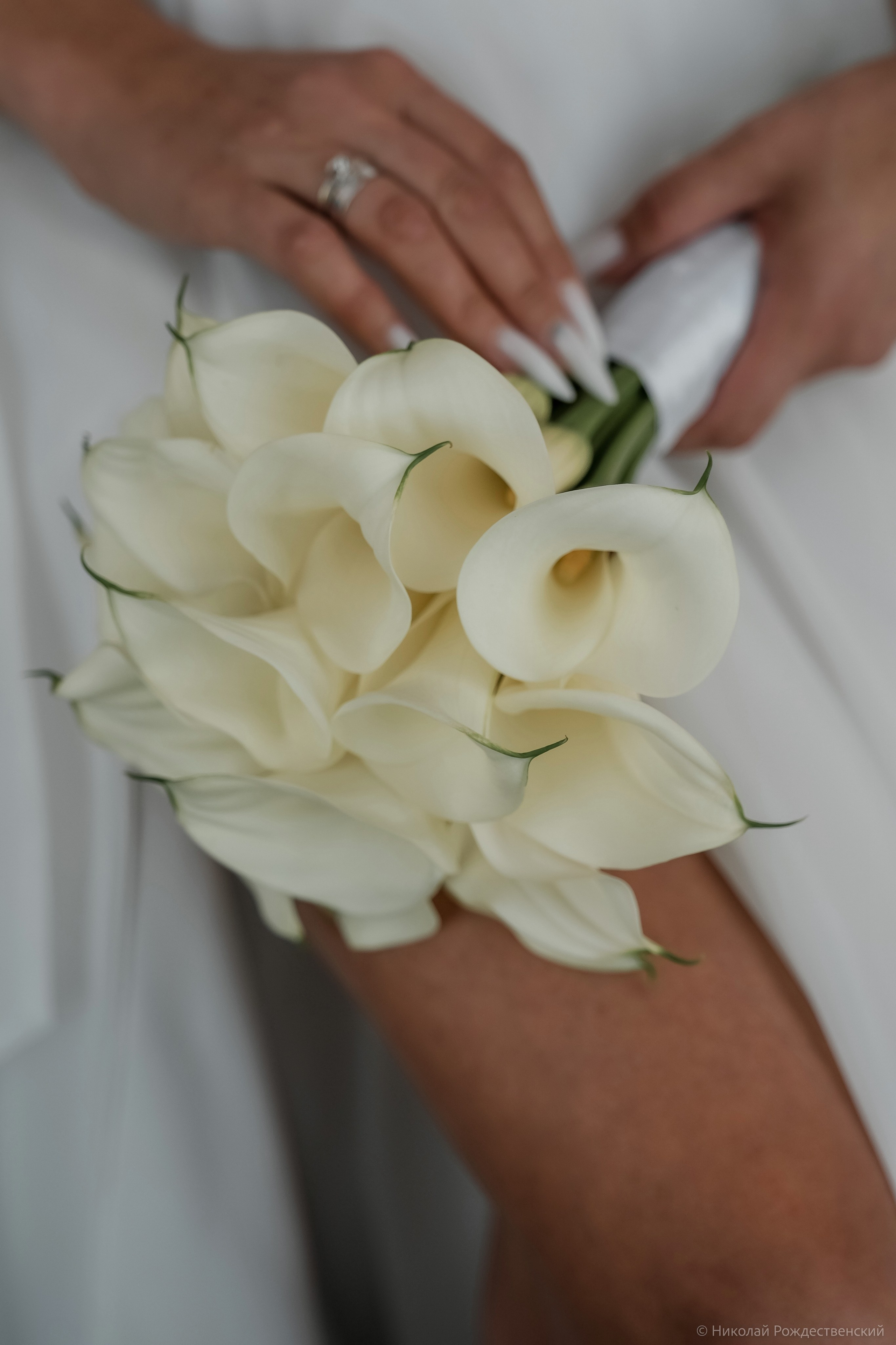 Вечерняя прогулка Александра и Татьяны. Профессиональный фотограф Николай Рождественский. Москва, Омск, Тюмень