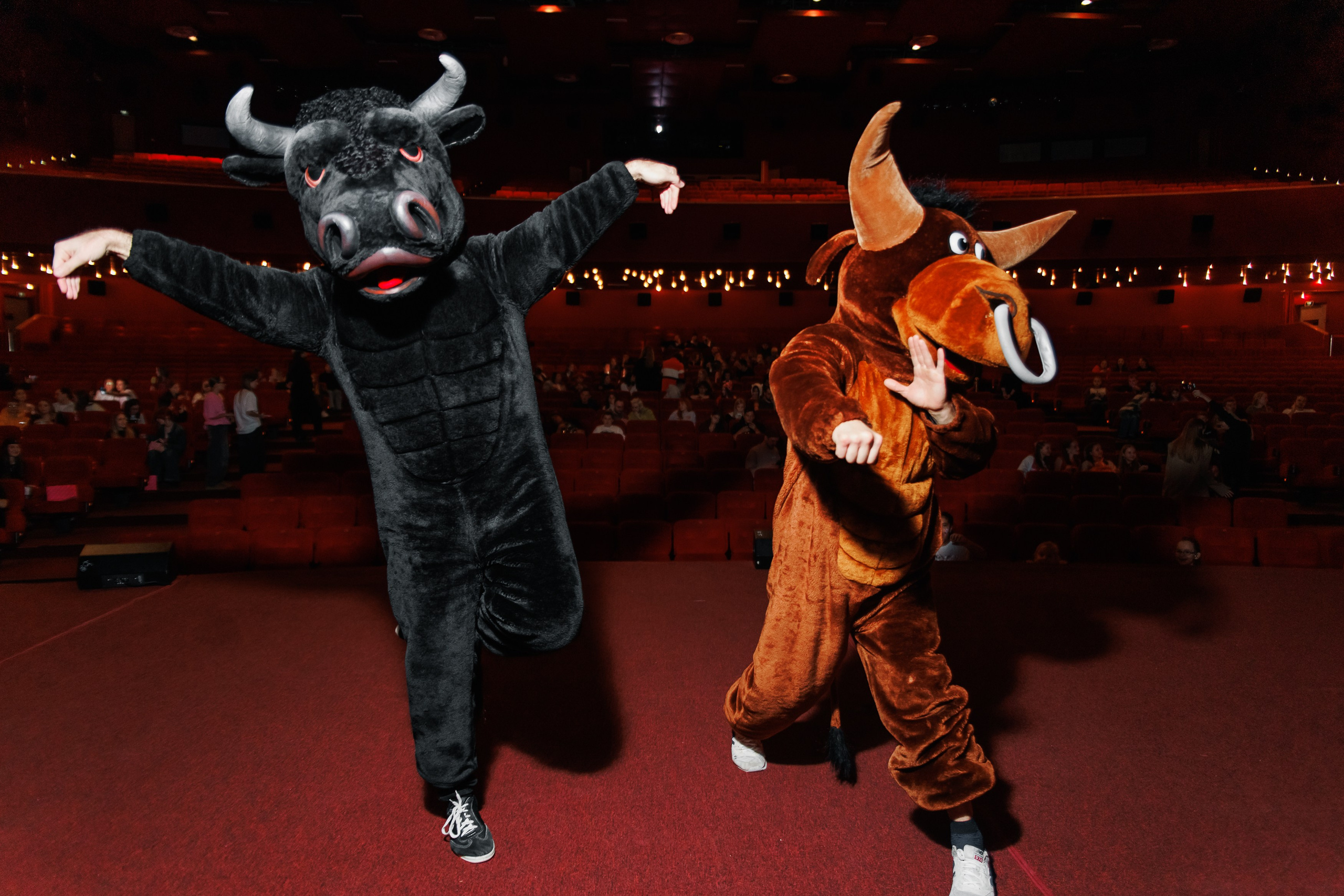 Закрытый показ Шоу. Репортажный фотограф. Москва. Алина Ланская