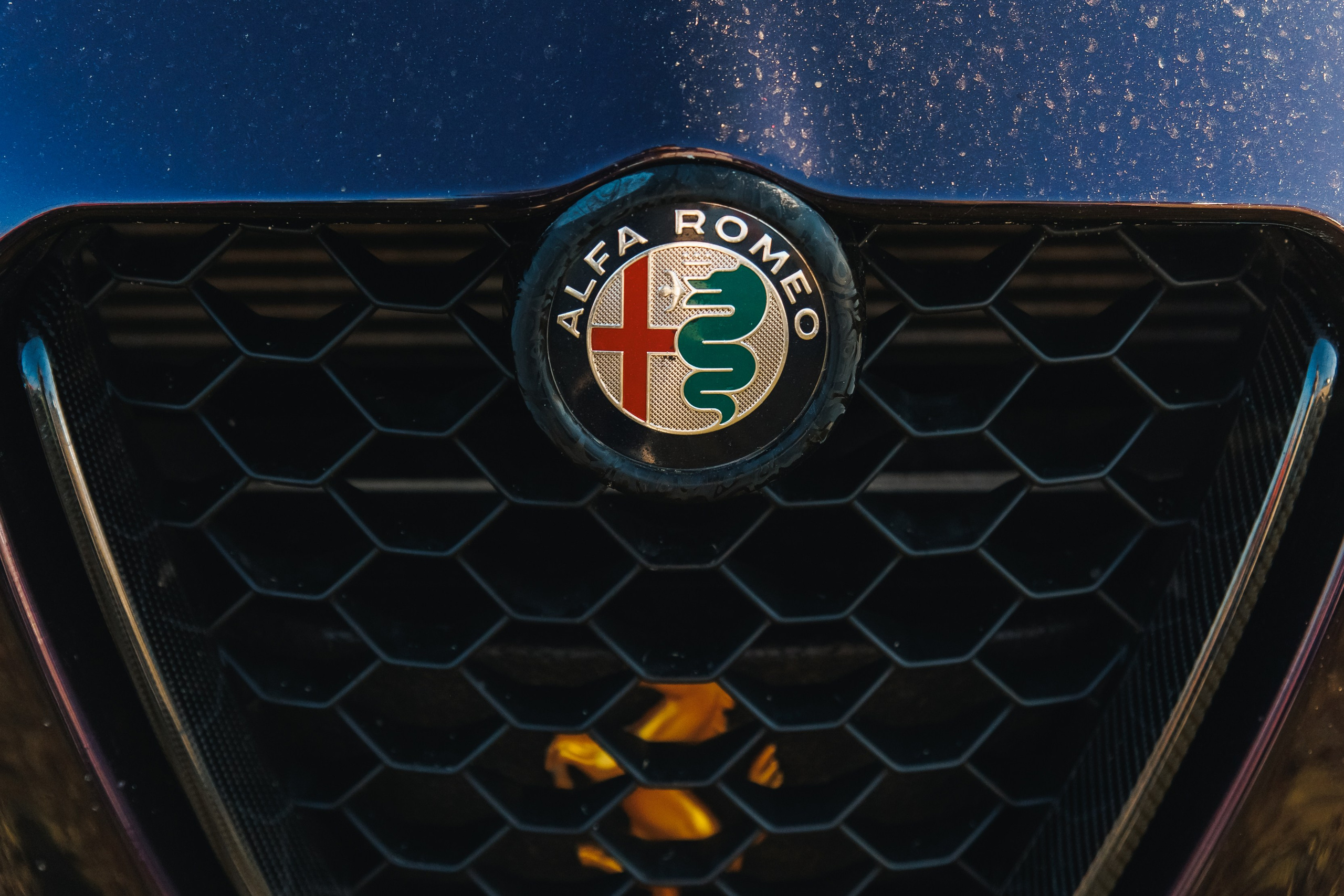 Выставка и дрифт машин. Репортажный фотограф. Москва. Алина Ланская