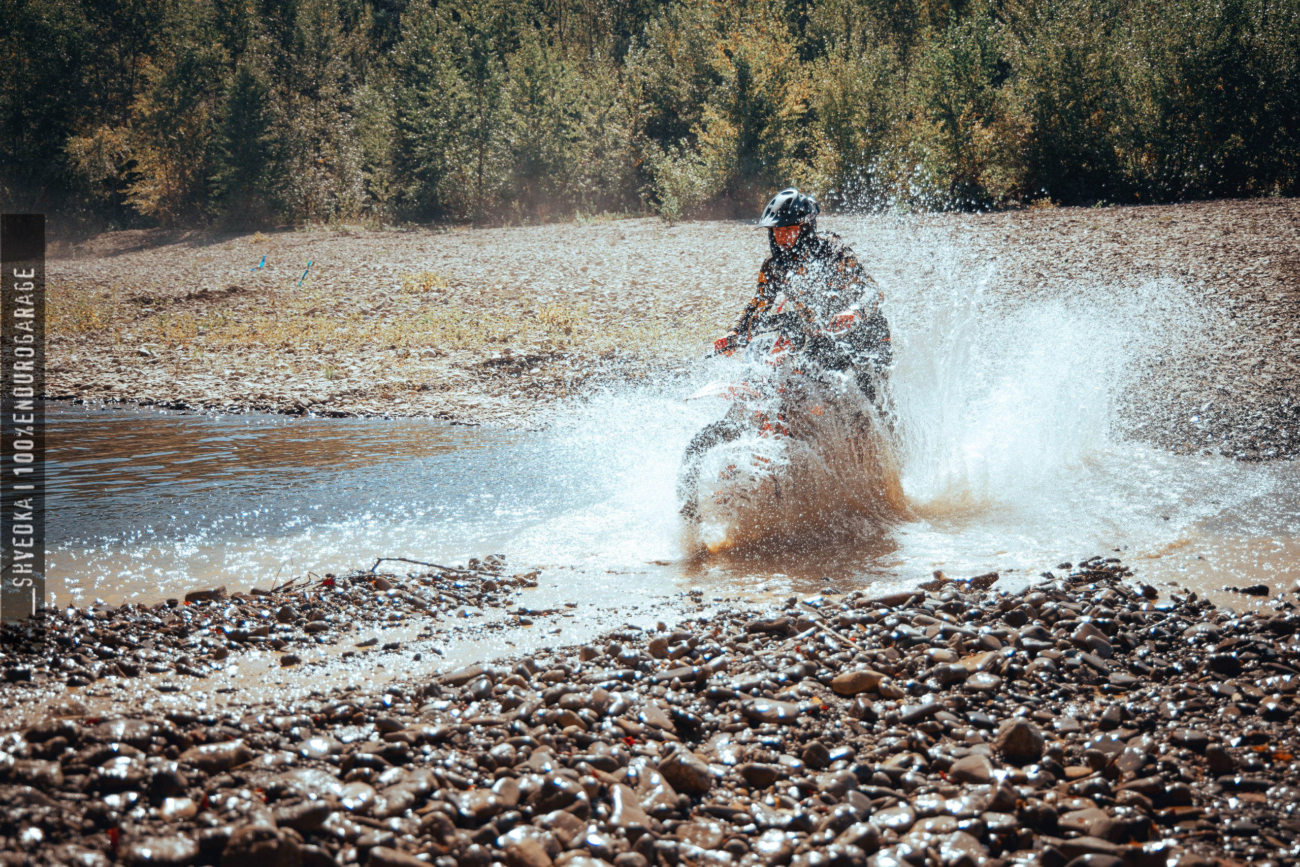 1 лесной день. Ваш экстрим фотограф Кудрева Яна
