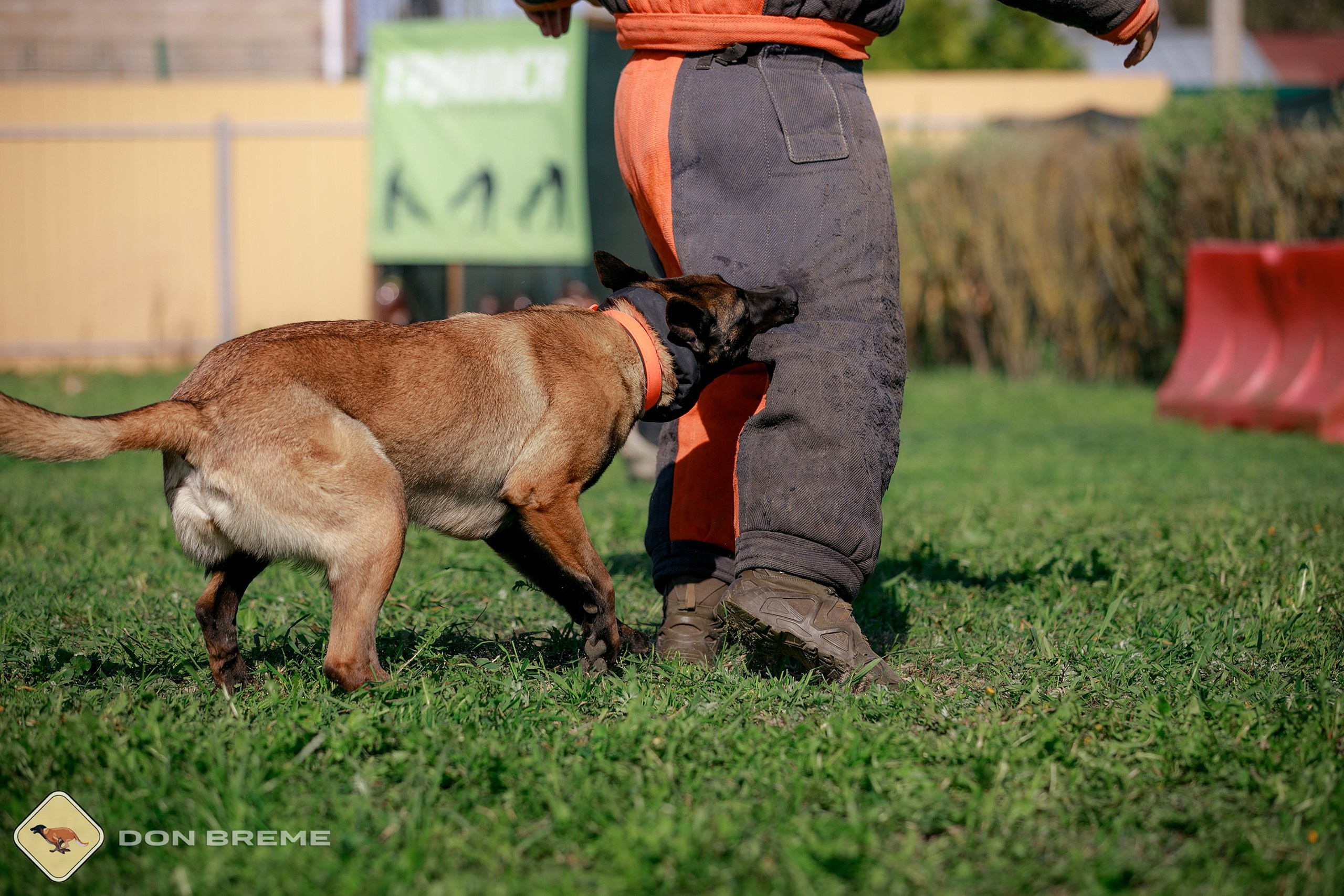 Семинар для фигурантов, день 4. Фотограф-анималист Mary Mart — Москва, Питер