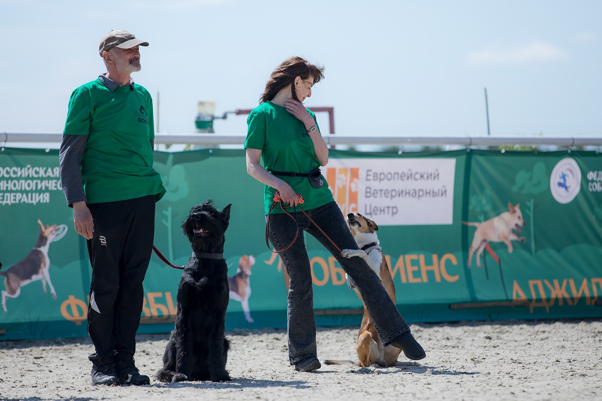 Показательные выступления по NoseWork на выставке «Россия». Фотограф-анималист Mary Mart — Москва, Питер