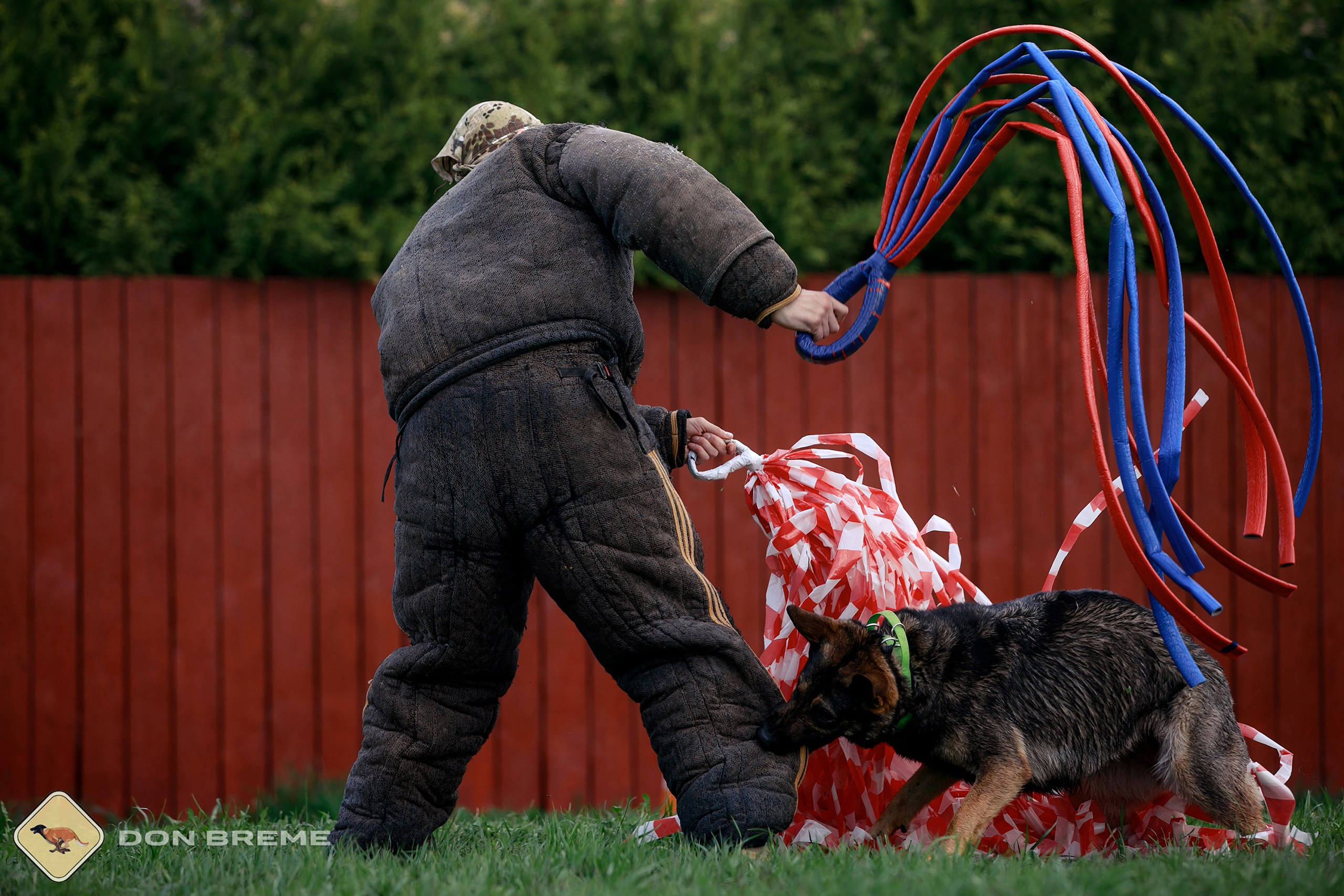 Семинар для фигурантов, день 2. Фотограф-анималист Mary Mart — Москва, Питер