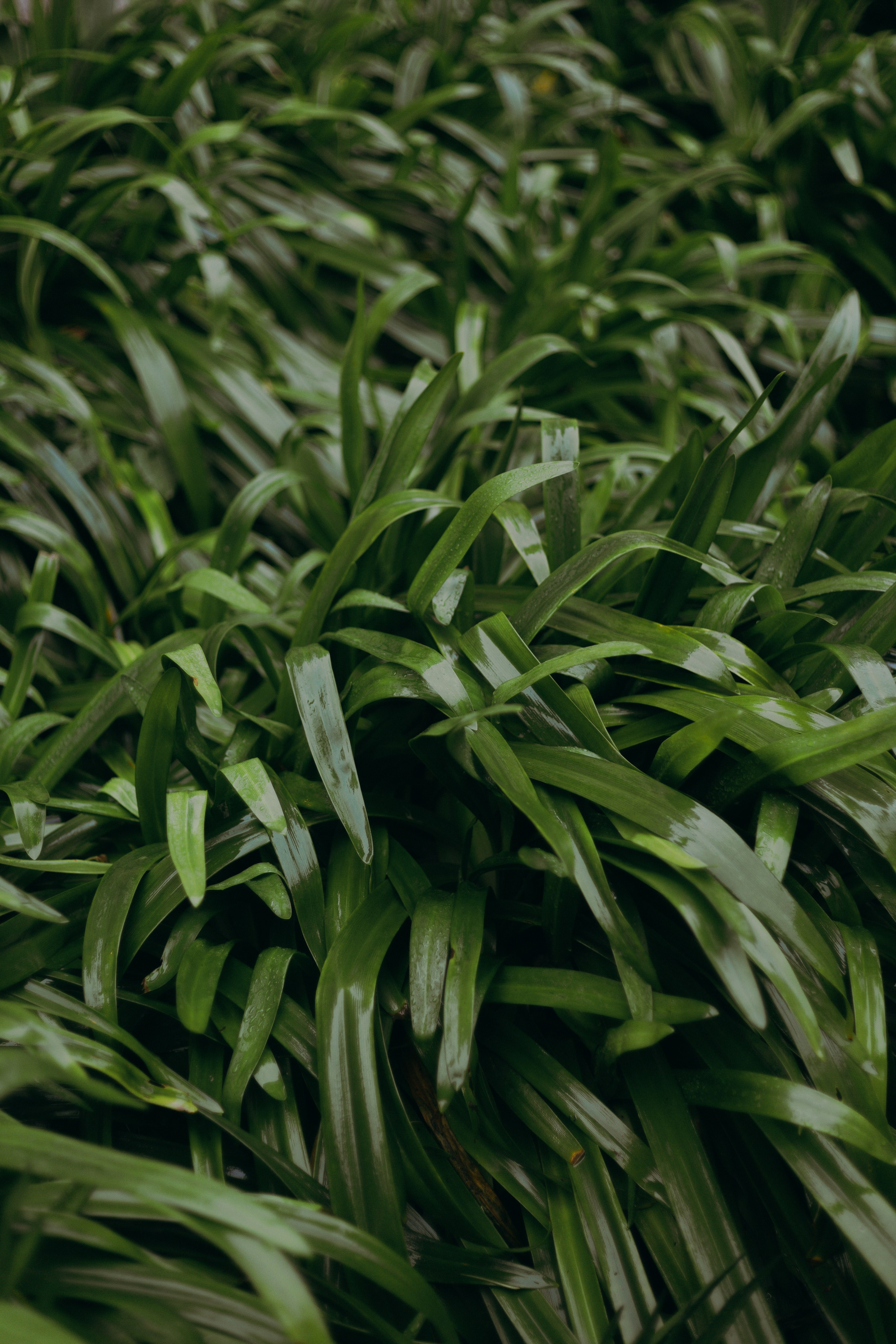 Стамбул. Профессиональный Фотограф во Владимире, в Москве и в Суздале — Полина Романычева