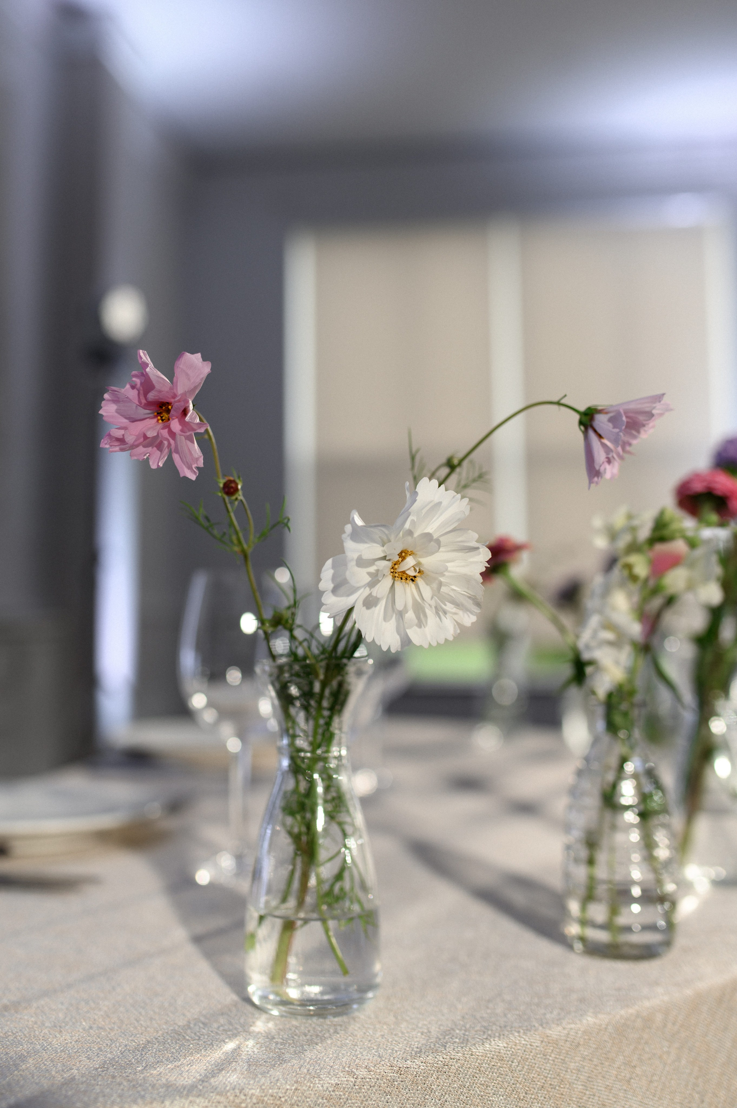 Никита и Лиза. Свадебный фотограф Минск