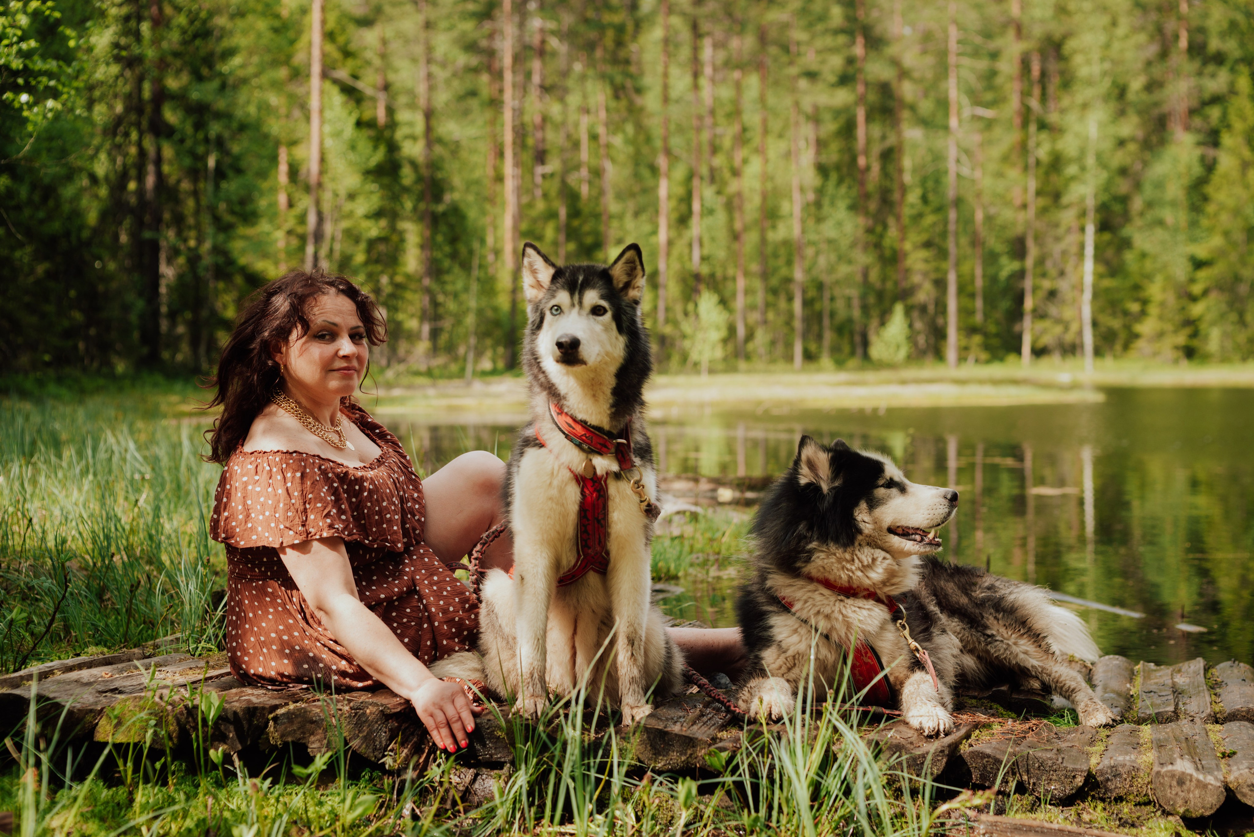Догтрекинг. Фотограф в Санкт-Петербурге и Ленинградской области