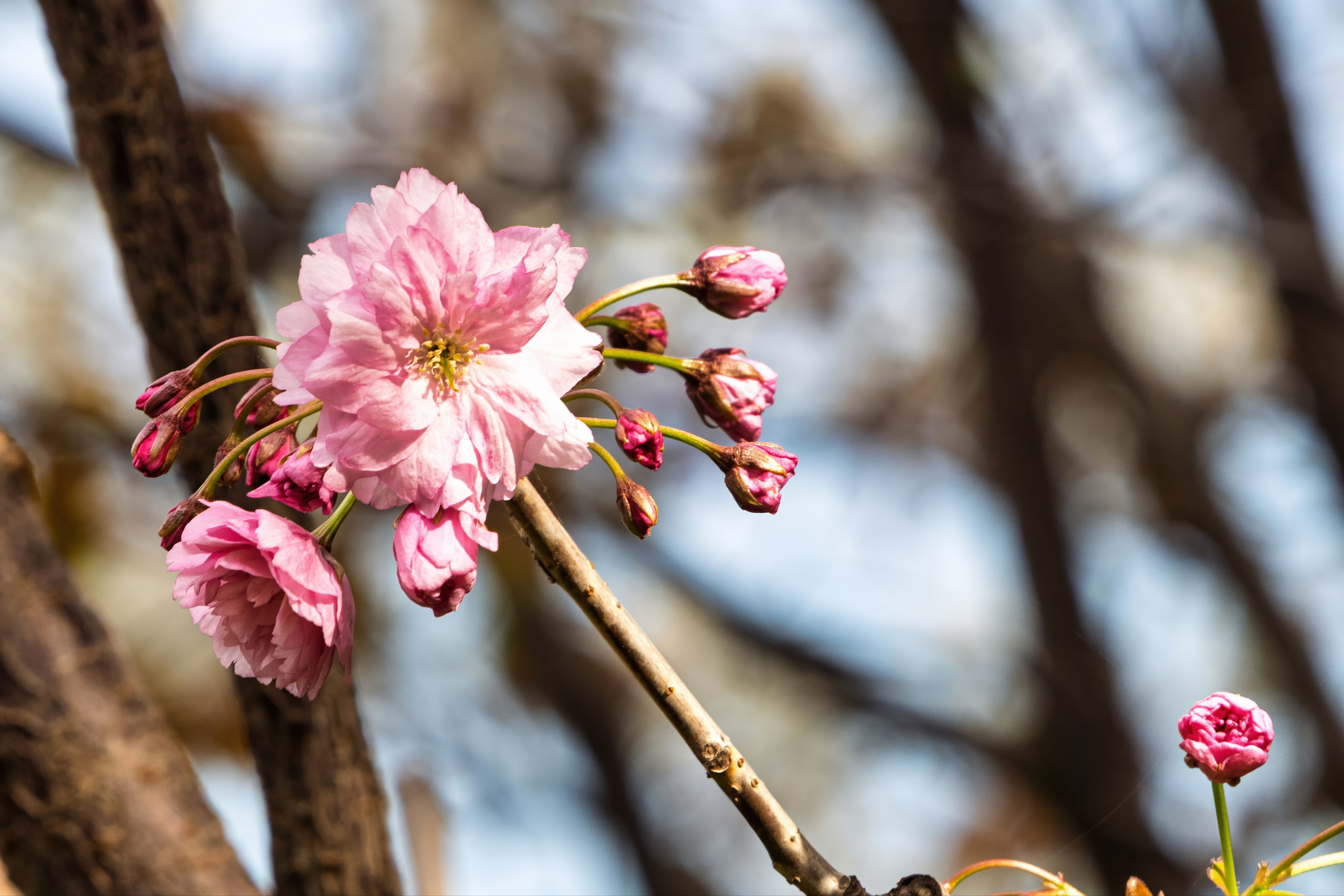 Крым, Утес, 2021 год. Фотограф Никифоров-Гордеев Сергей. Москва и МО