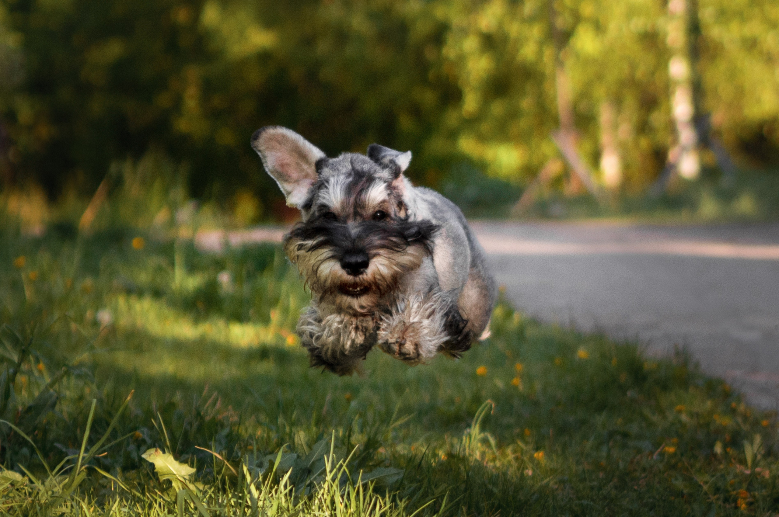 Катя и Дарио