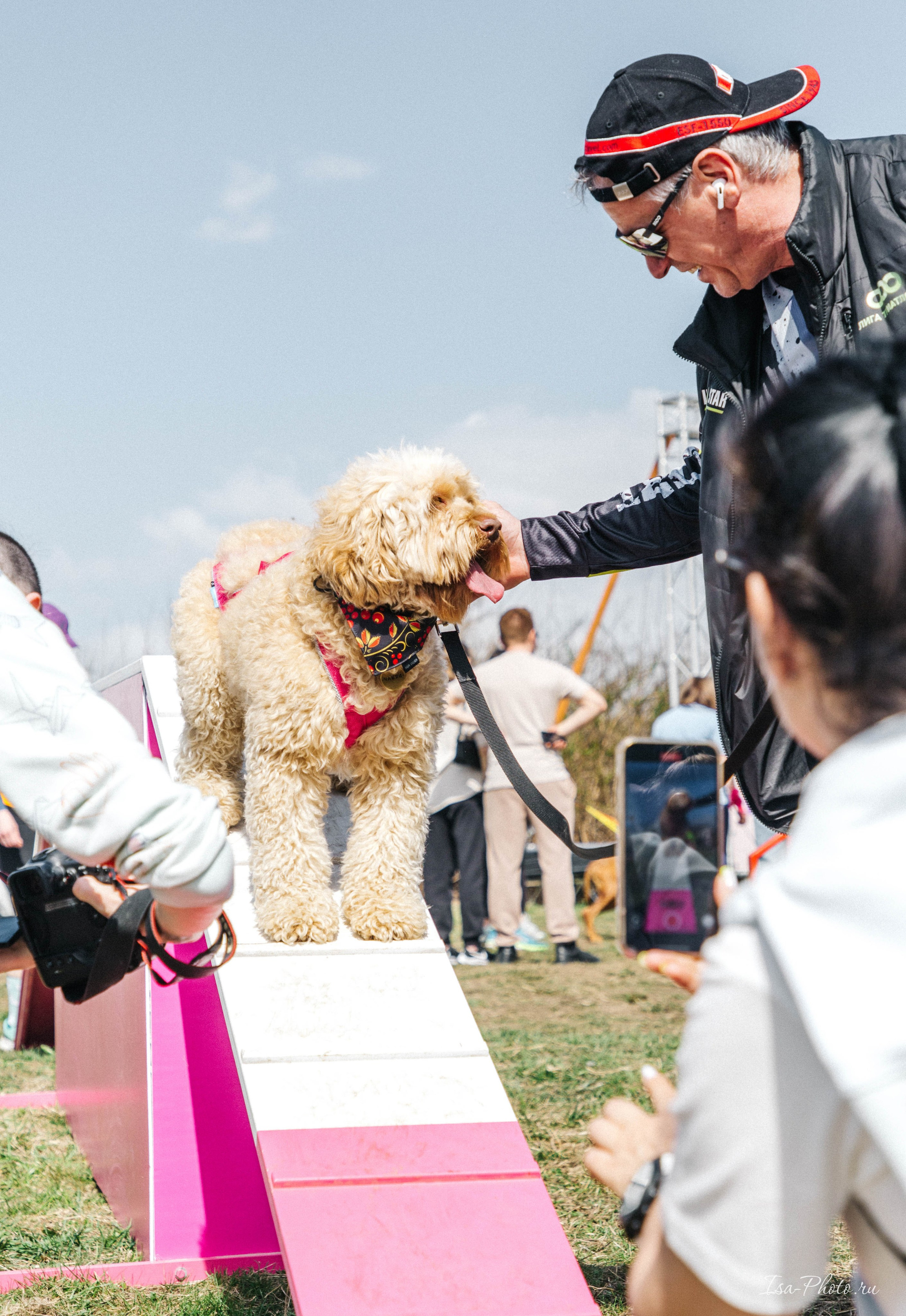 Кросс «Быстрый пёс» 2025. Репортажный фотограф в Москве