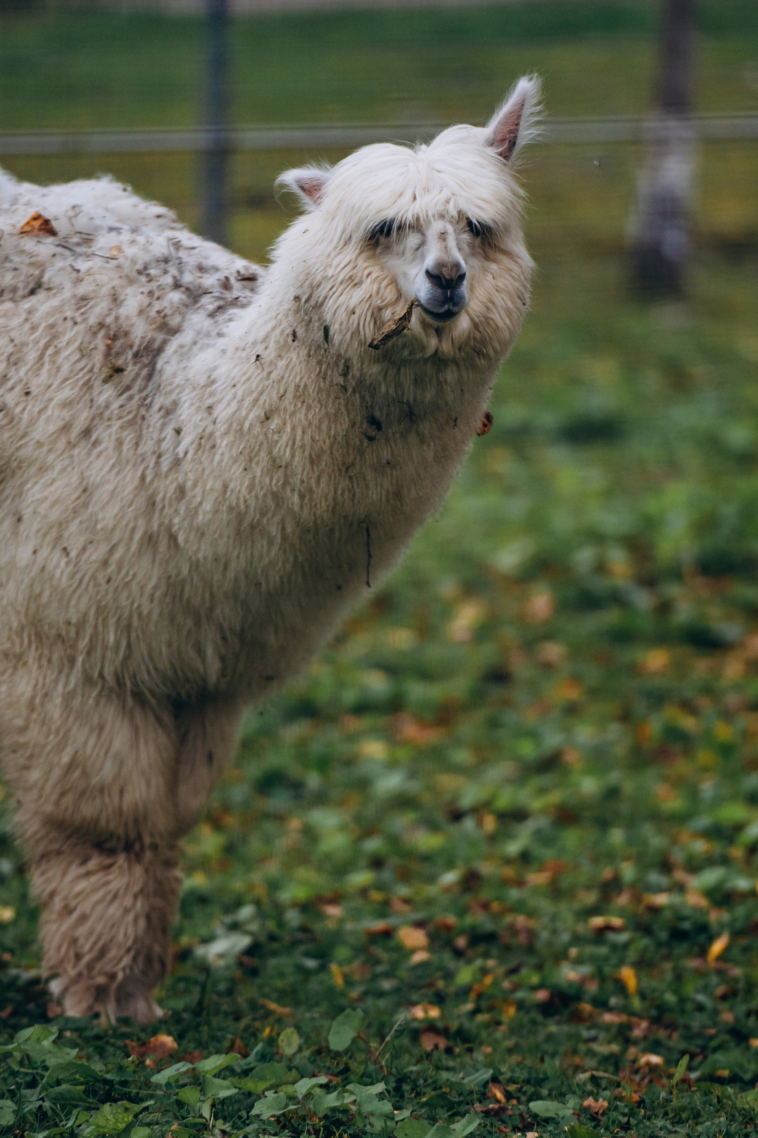 СЕВЕР. Event фотограф Степанова Александра