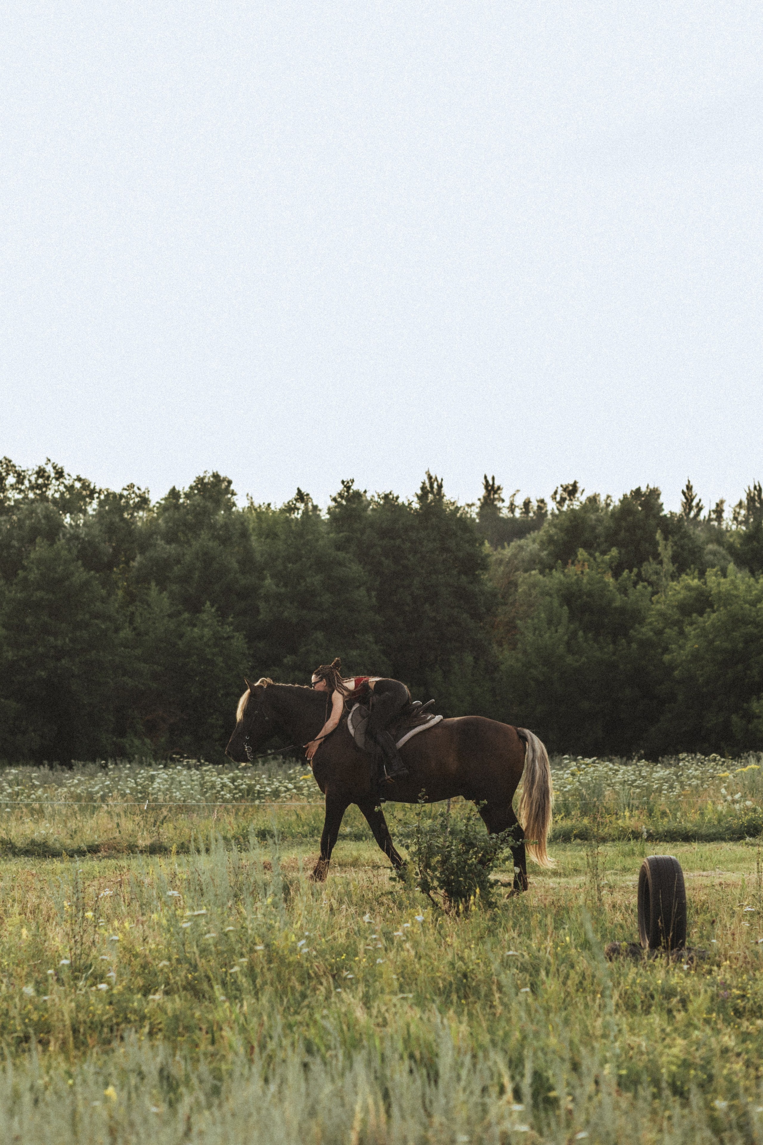Девушка обнимает коня в поле, атмосферный лайфстайл на природе. Фотограф в Пензе Александра Овечкина