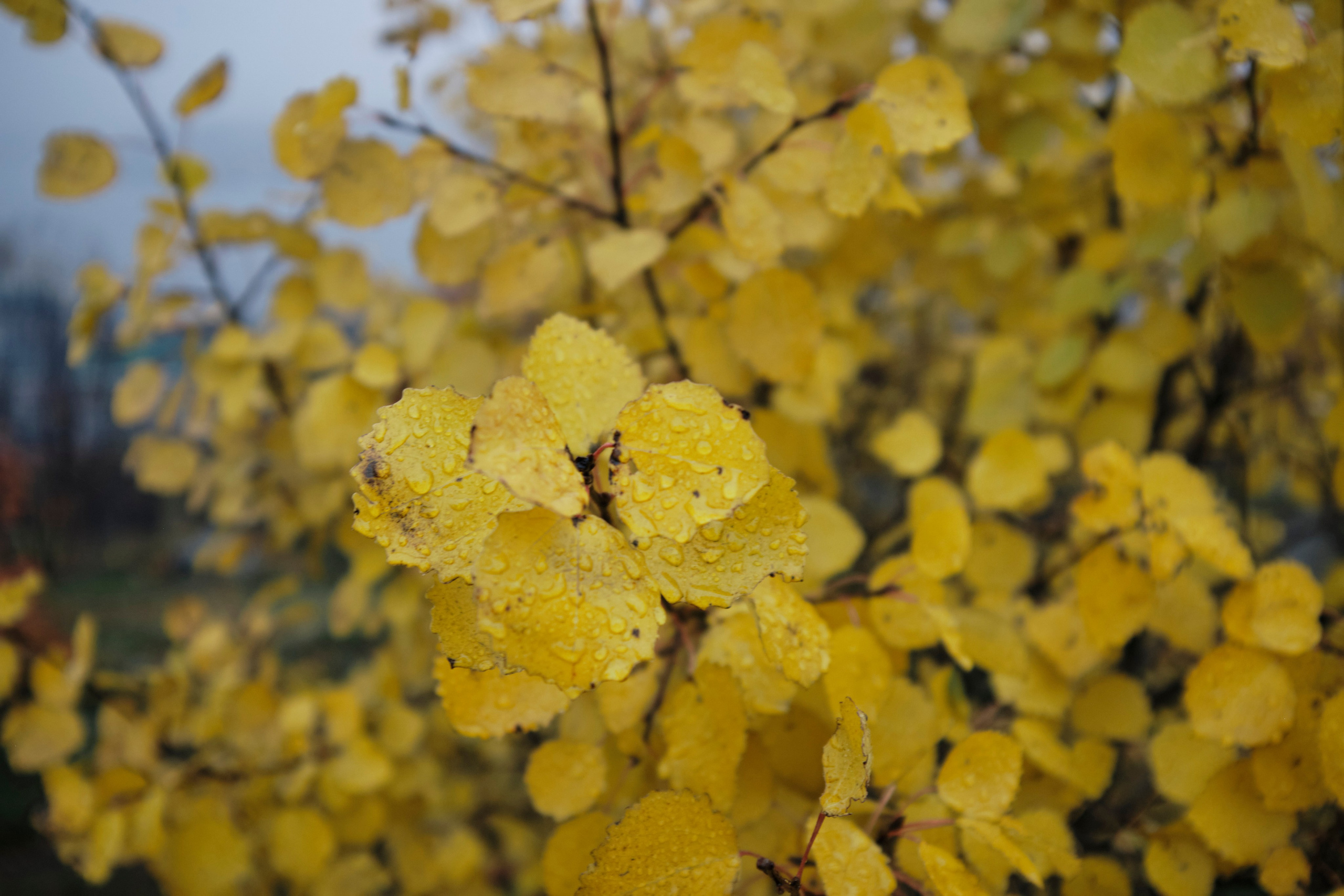 Поездка в Мурманск. Заметки и фото. Елена Павленко. Фотограф. Москва
