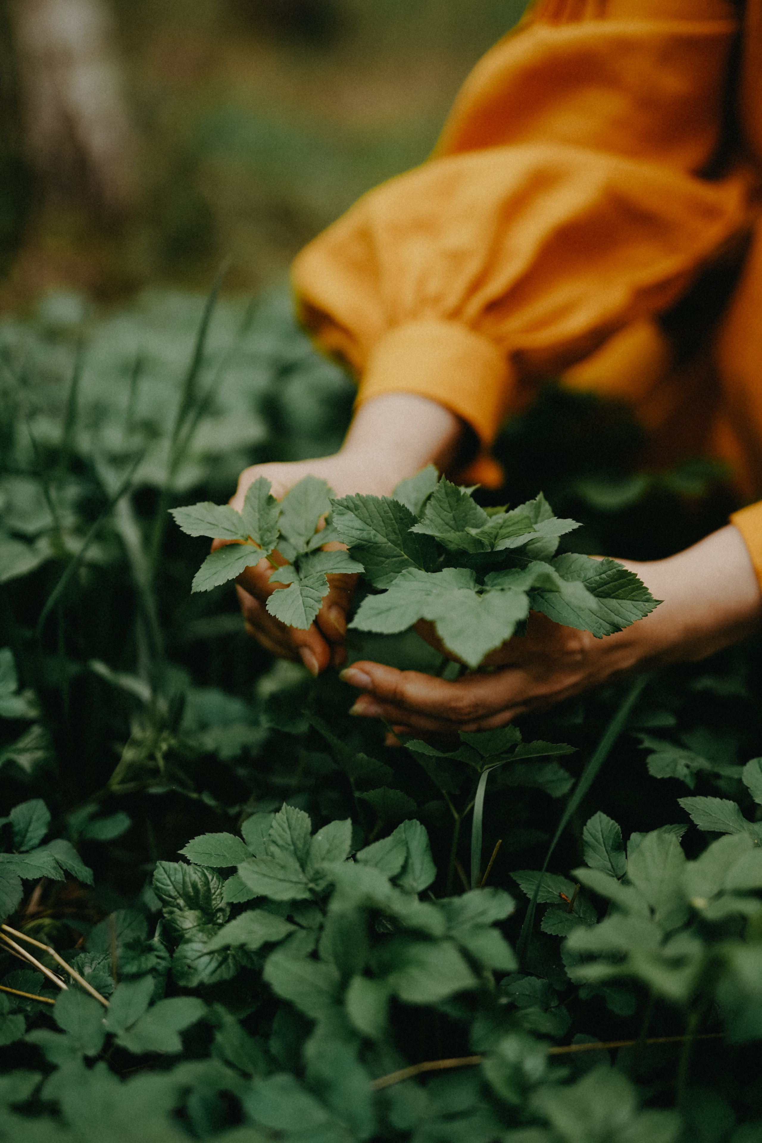 Евгений и Евгения. В единении с природой. Фотограф Наталья Колганова