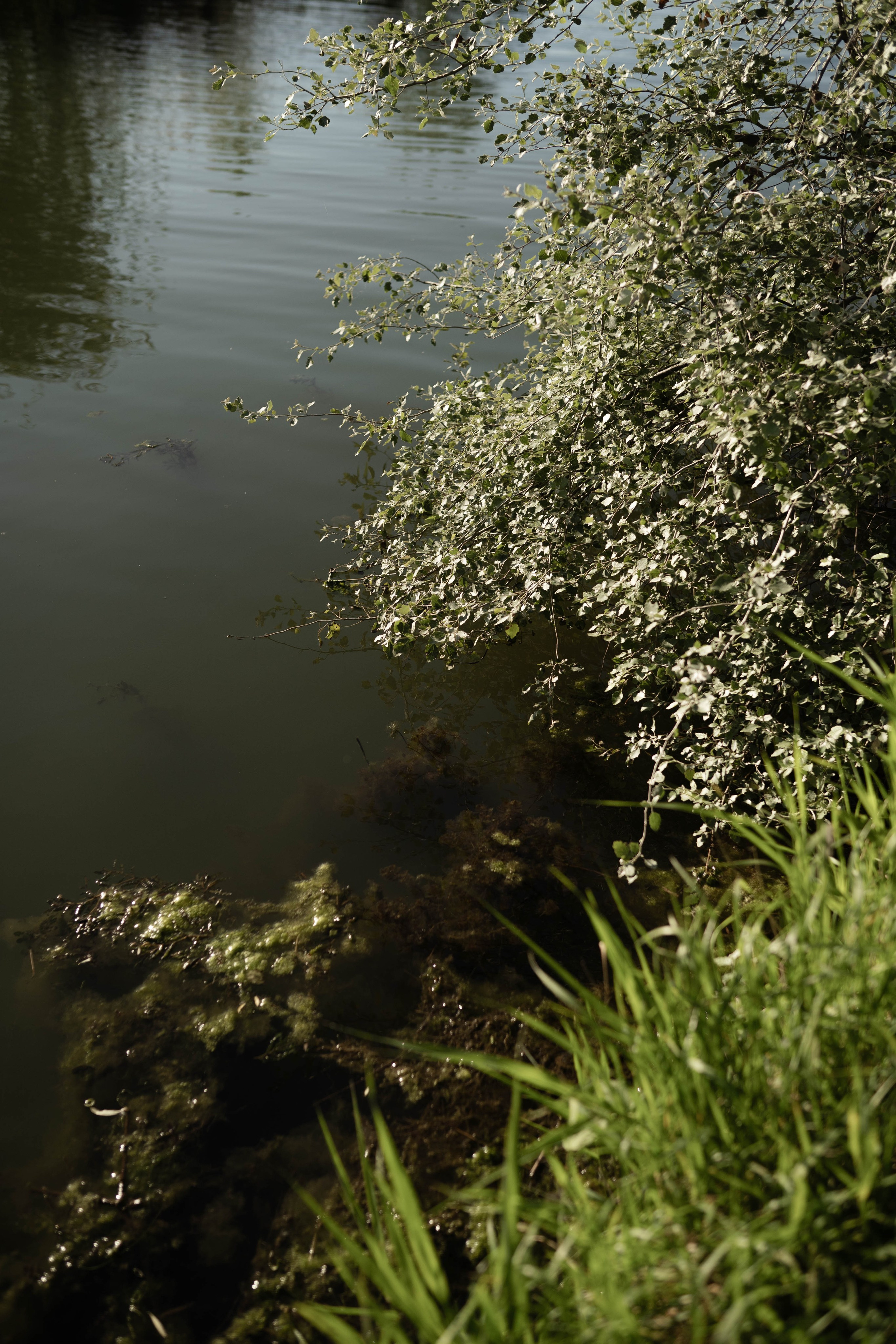 ЮляГарриАриэла. Портретный и семейный фотограф в Пятигорске Кутырева Ксения