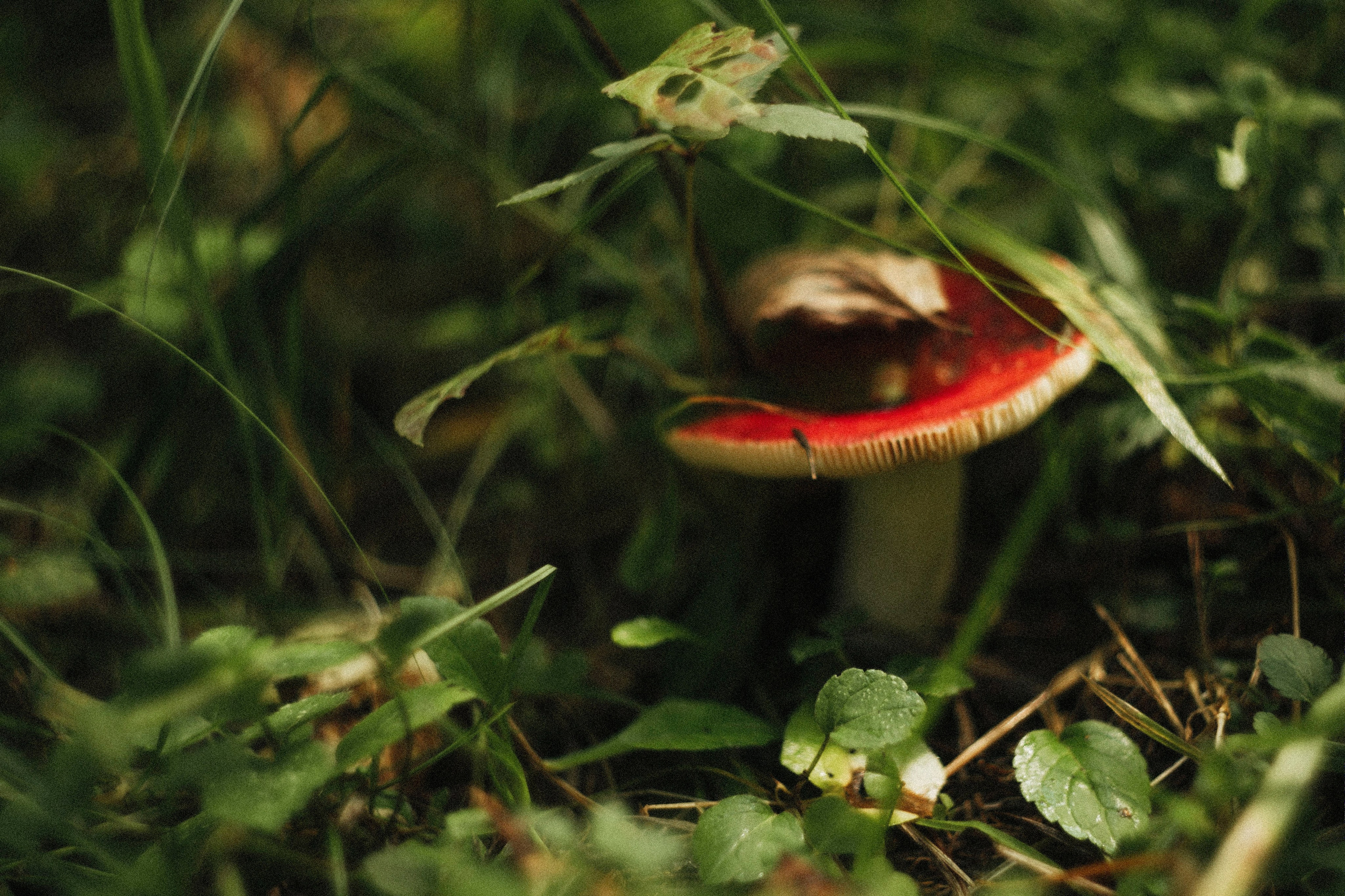 Поход. Ваш портретный фотограф в Москве Катя Прокофьева