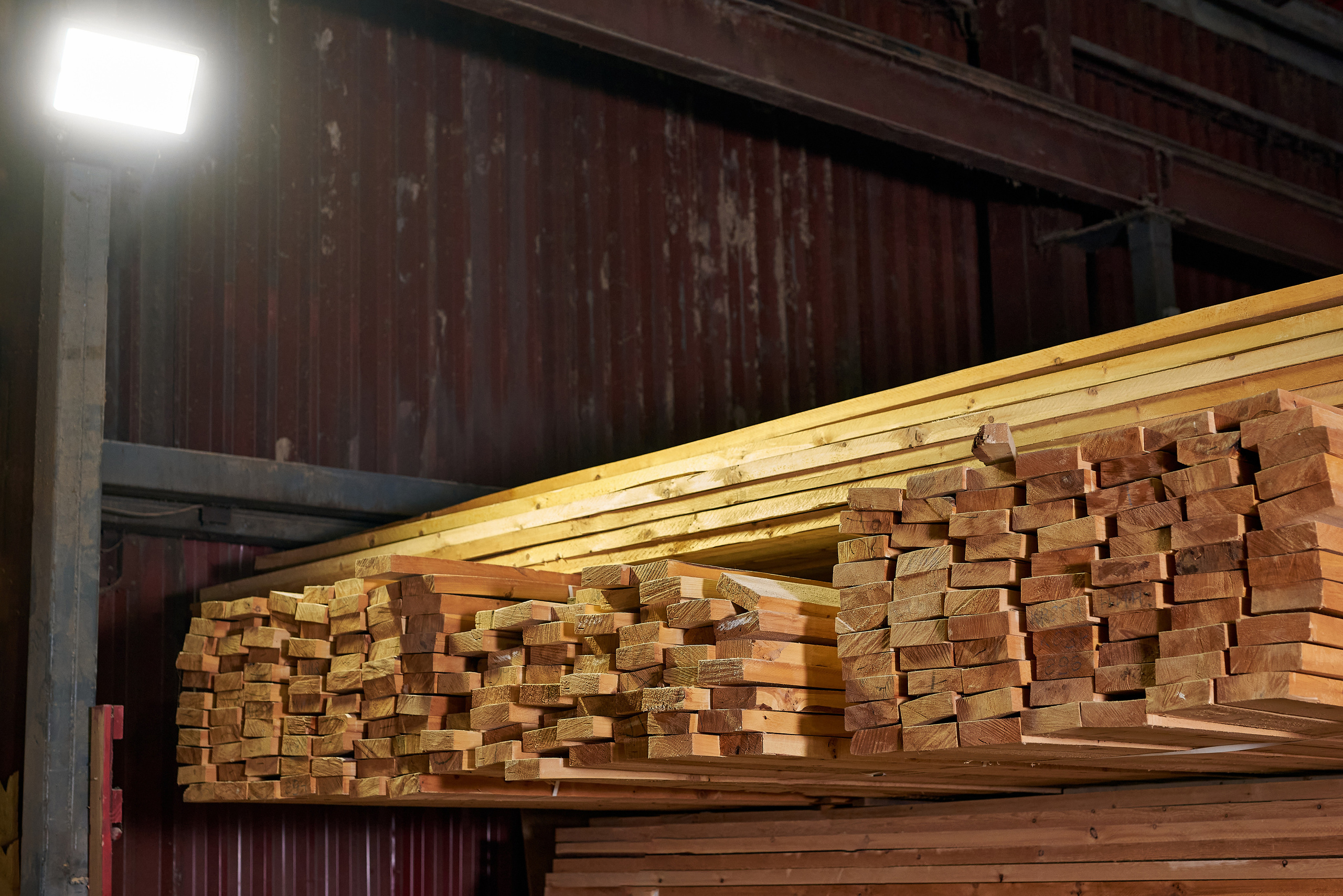Алтайские мастера. Фотограф Опыт Качество Скорость Горный Алтай Барнаул