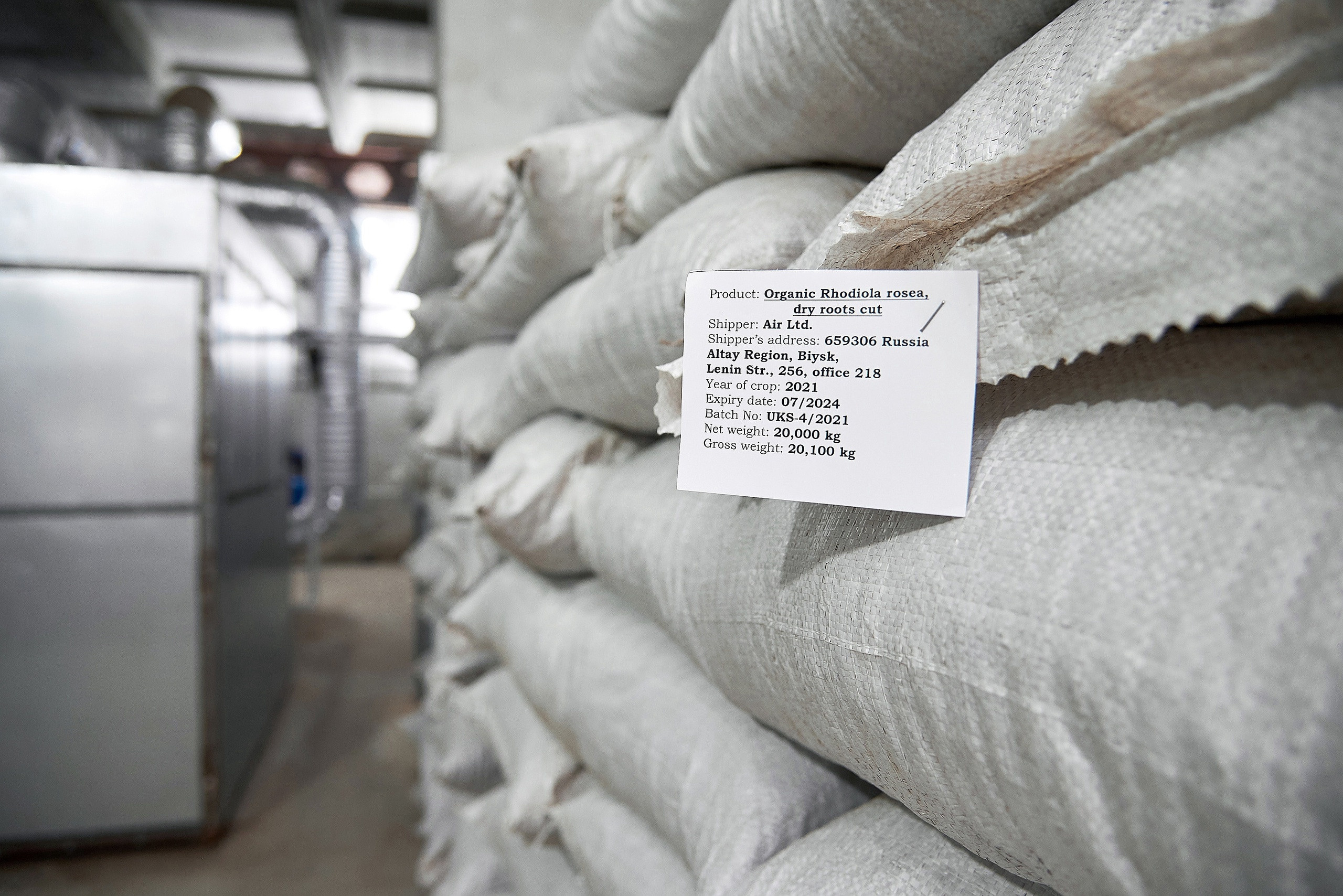 Золотой корень. Фотограф Опыт Качество Скорость Горный Алтай Барнаул