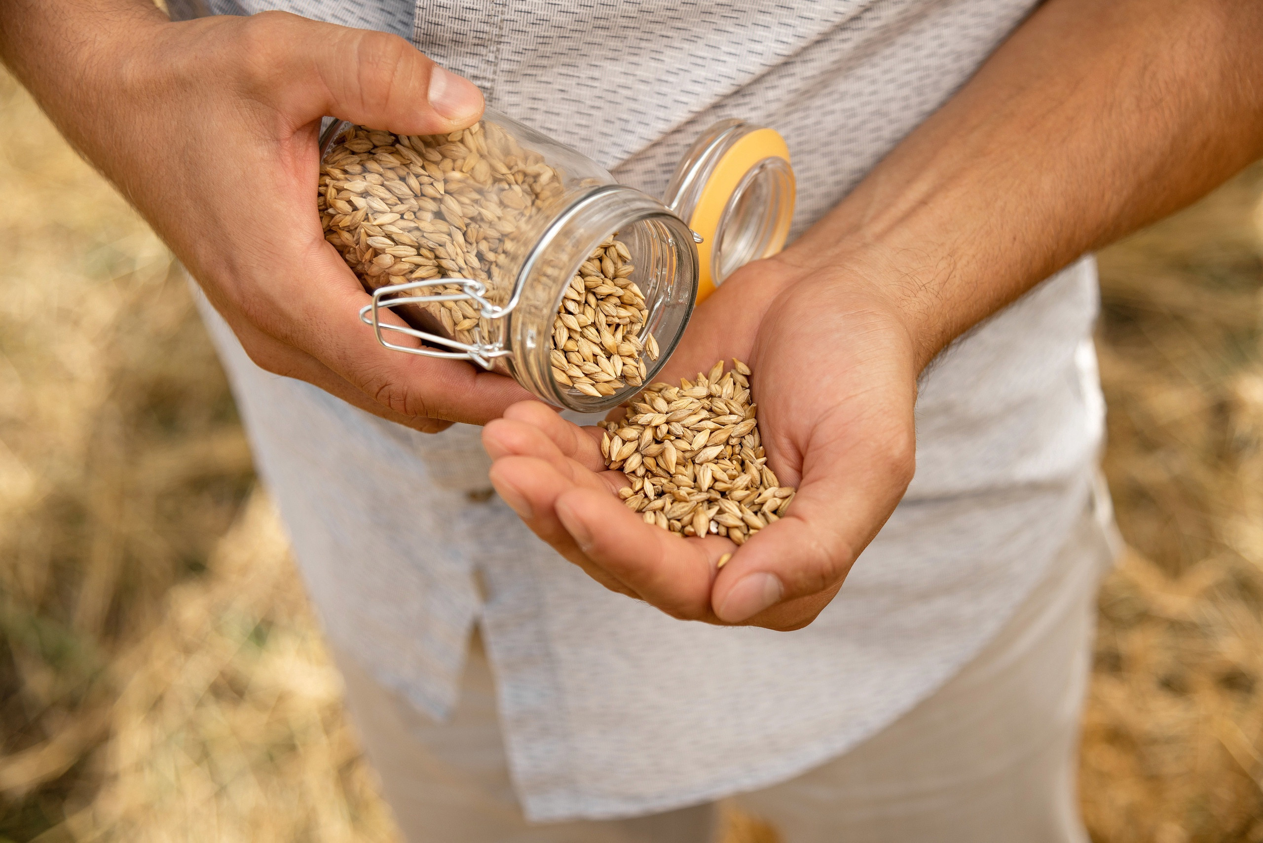 Новоалтайский хлебокомбинат. Фотограф Опыт Качество Скорость Горный Алтай Барнаул