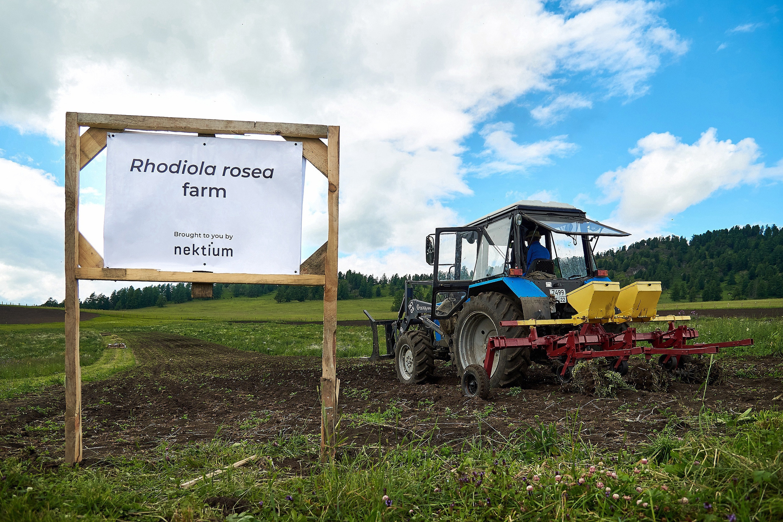 Общее портфолио. Фотограф Опыт Качество Скорость Горный Алтай Барнаул