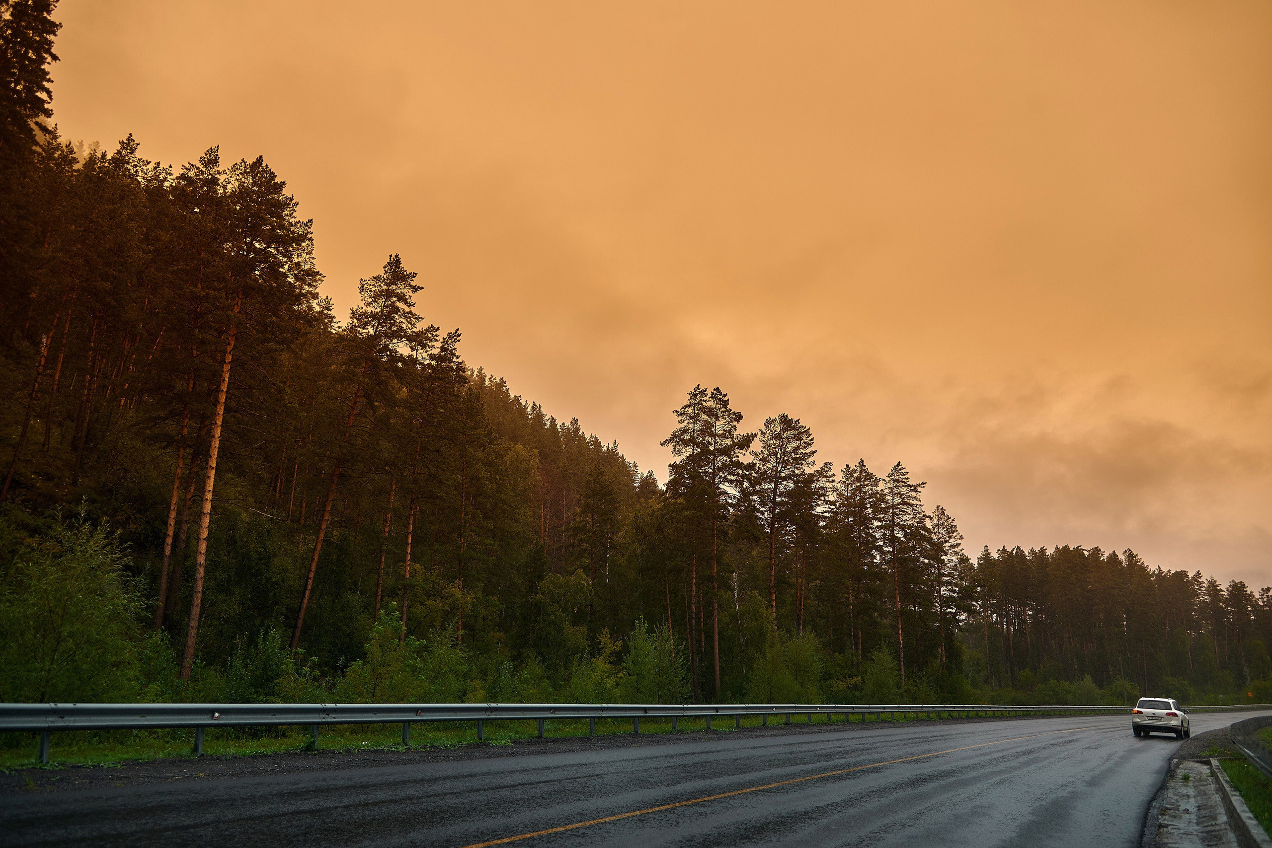 Свадьба. Анна и Андрей. Фотограф Опыт Качество Скорость Горный Алтай Барнаул
