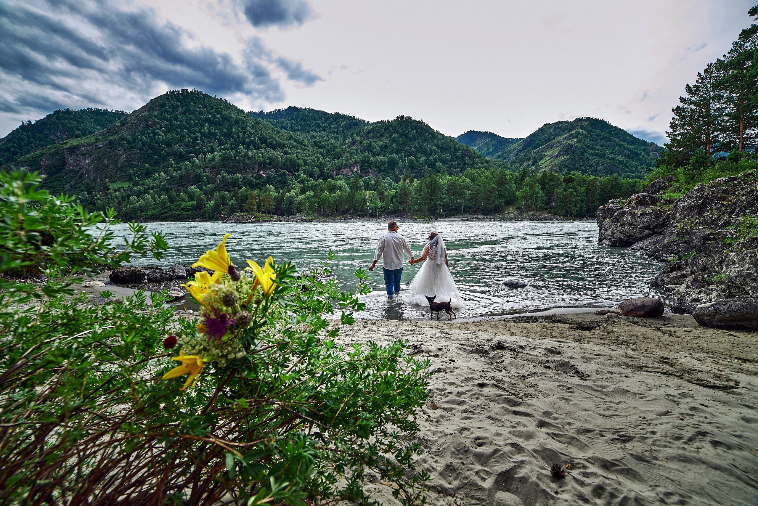 Свадьба. Олег и Мария. Фотограф Опыт Качество Скорость Горный Алтай Барнаул
