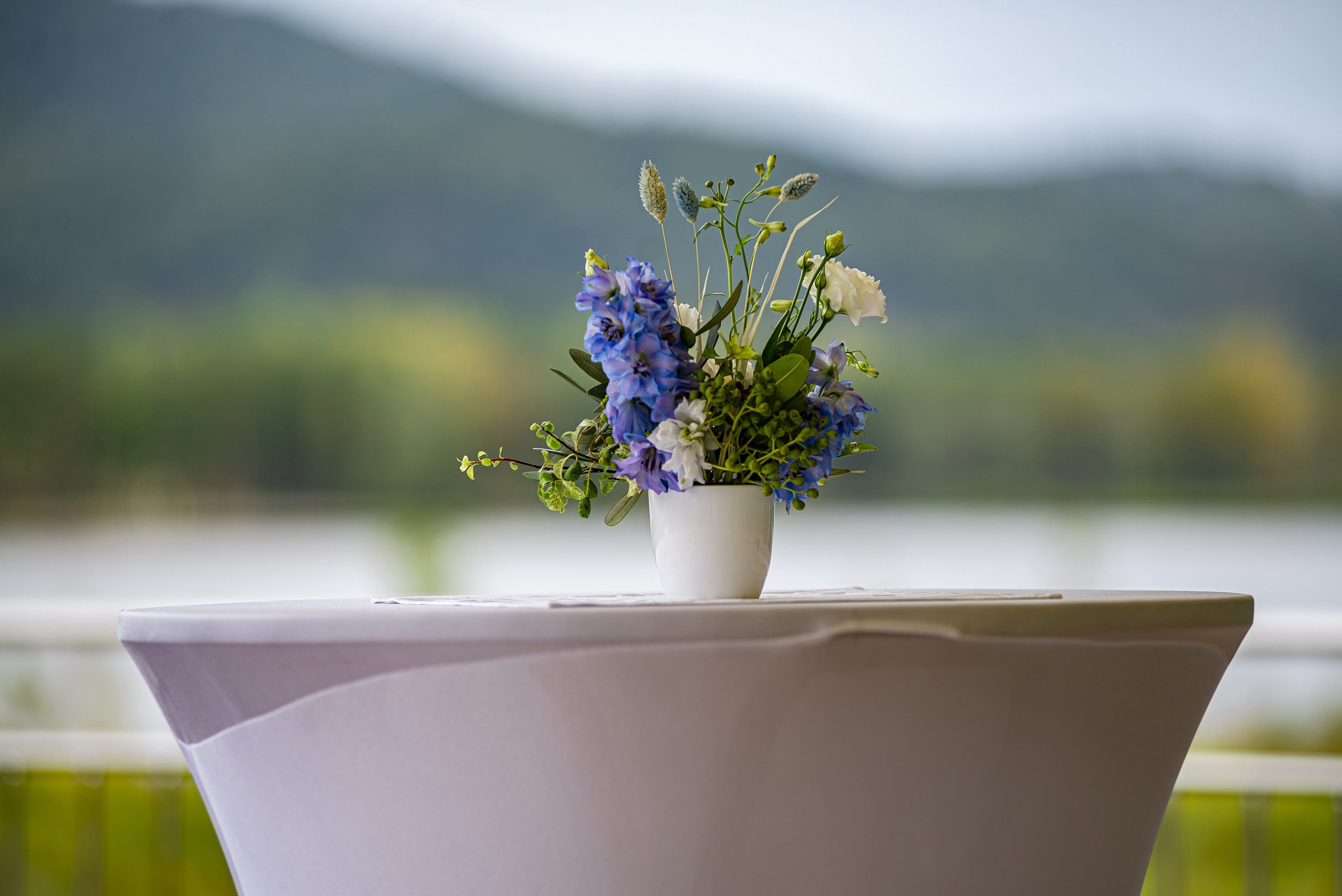 Манжерок. Открытие канатной дороги. Фотограф Опыт Качество Скорость Горный Алтай Барнаул