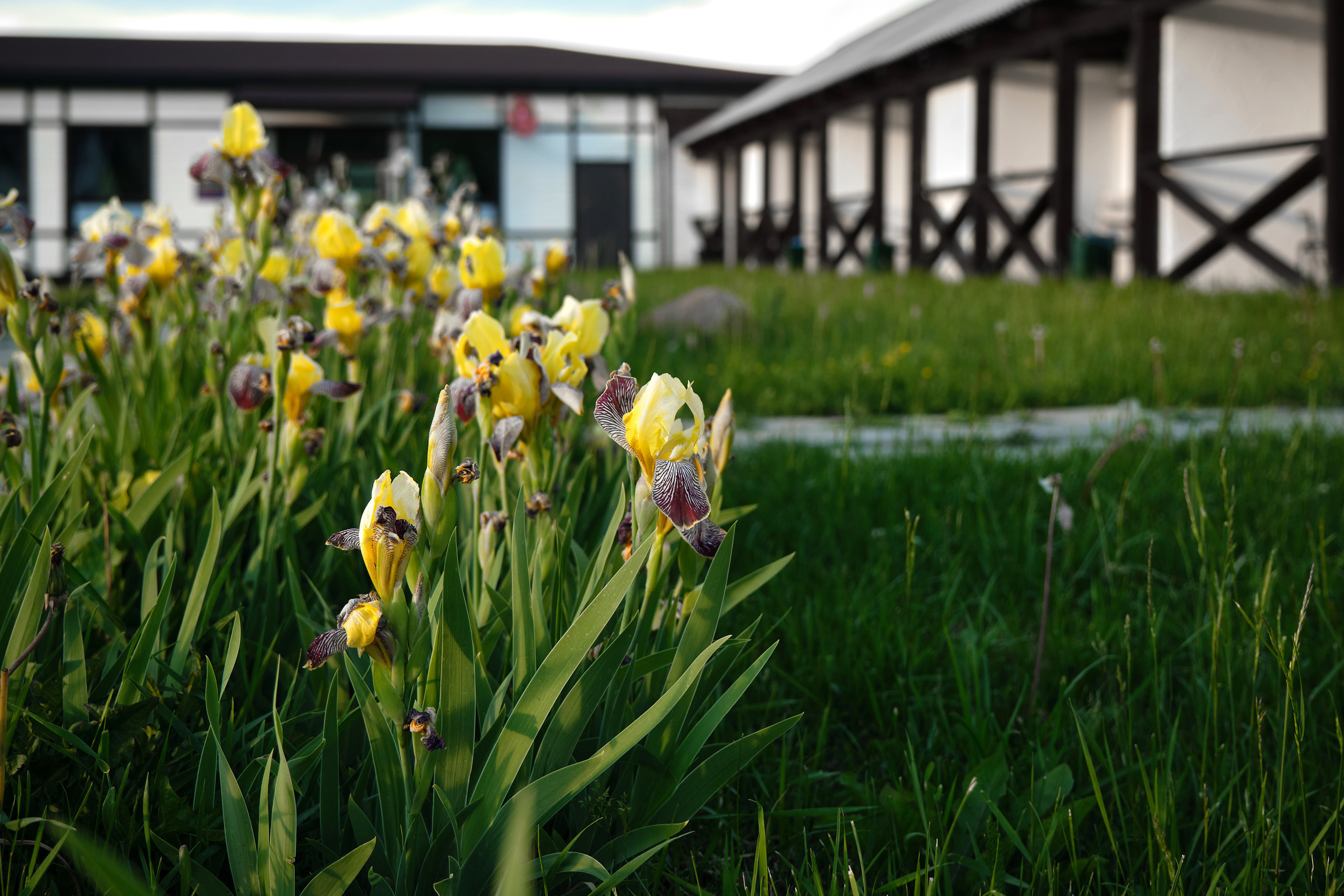 Олимп. Туристическая база. Фото для сайта. Фотограф Опыт Качество Скорость Горный Алтай Барнаул