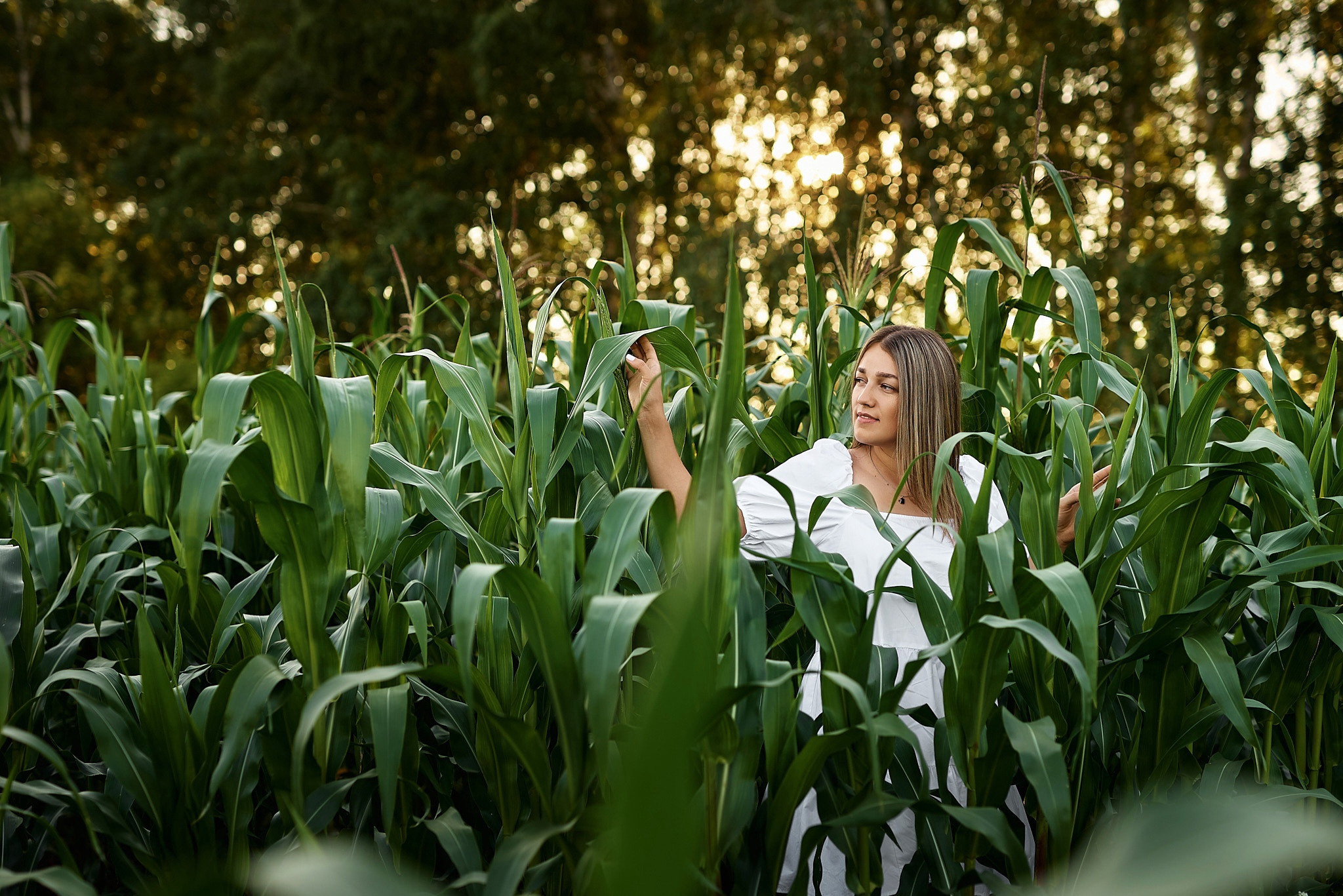Семейная. Ксения. Поле. Фотограф Опыт Качество Скорость Горный Алтай Барнаул