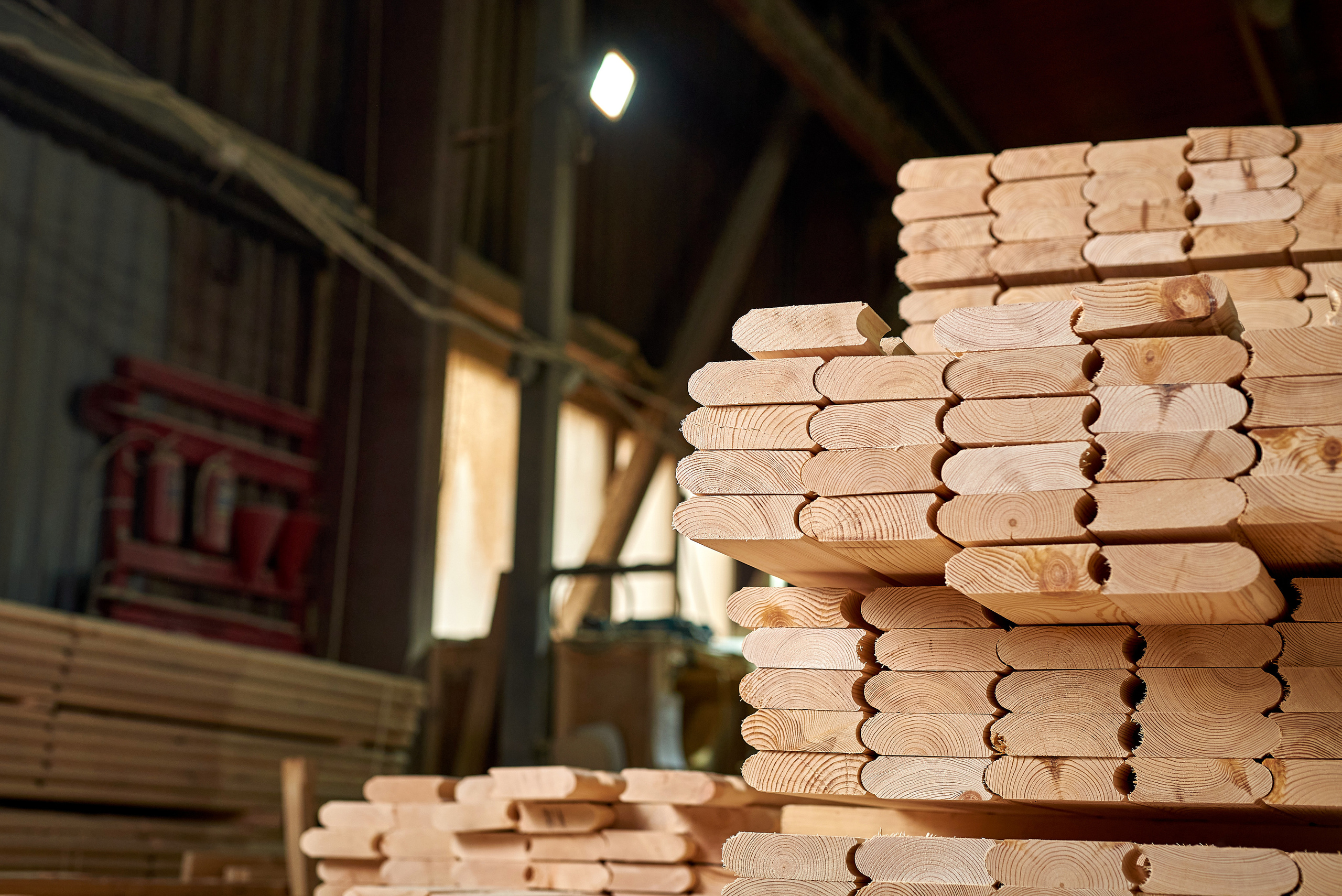 Алтайские мастера. Фотограф Опыт Качество Скорость Горный Алтай Барнаул