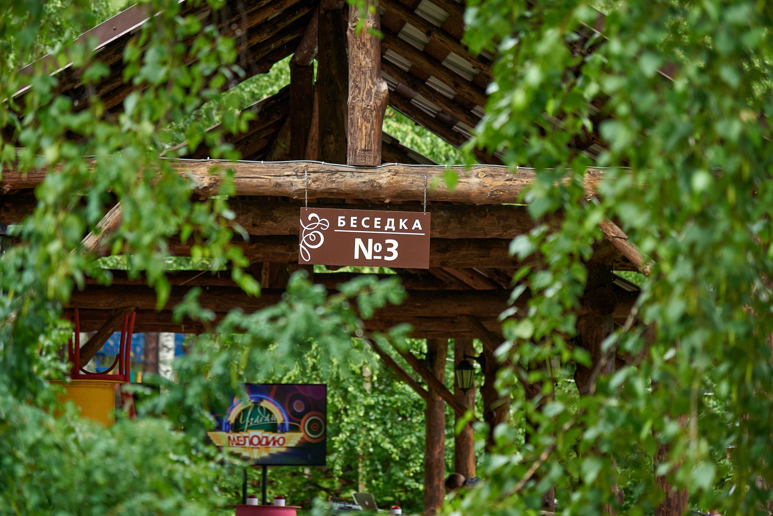 Алтайэнергосбыт. Спортивные эстафеты. Фотограф Опыт Качество Скорость Горный Алтай Барнаул