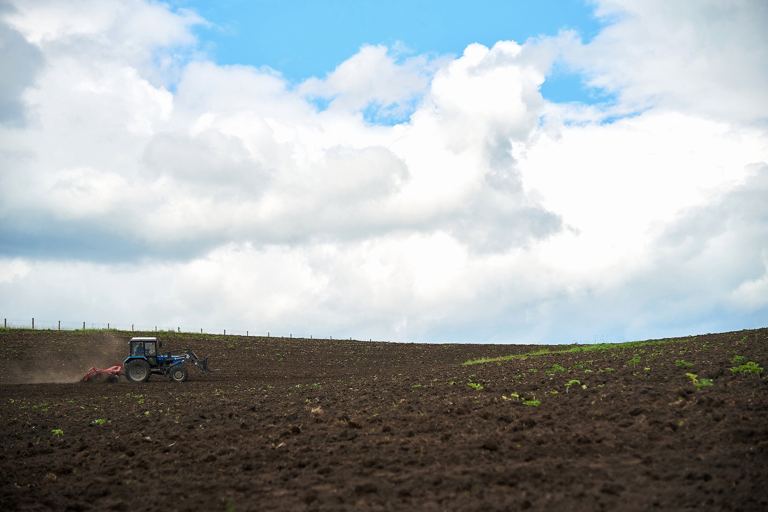 Золотой корень. Фотограф Опыт Качество Скорость Горный Алтай Барнаул