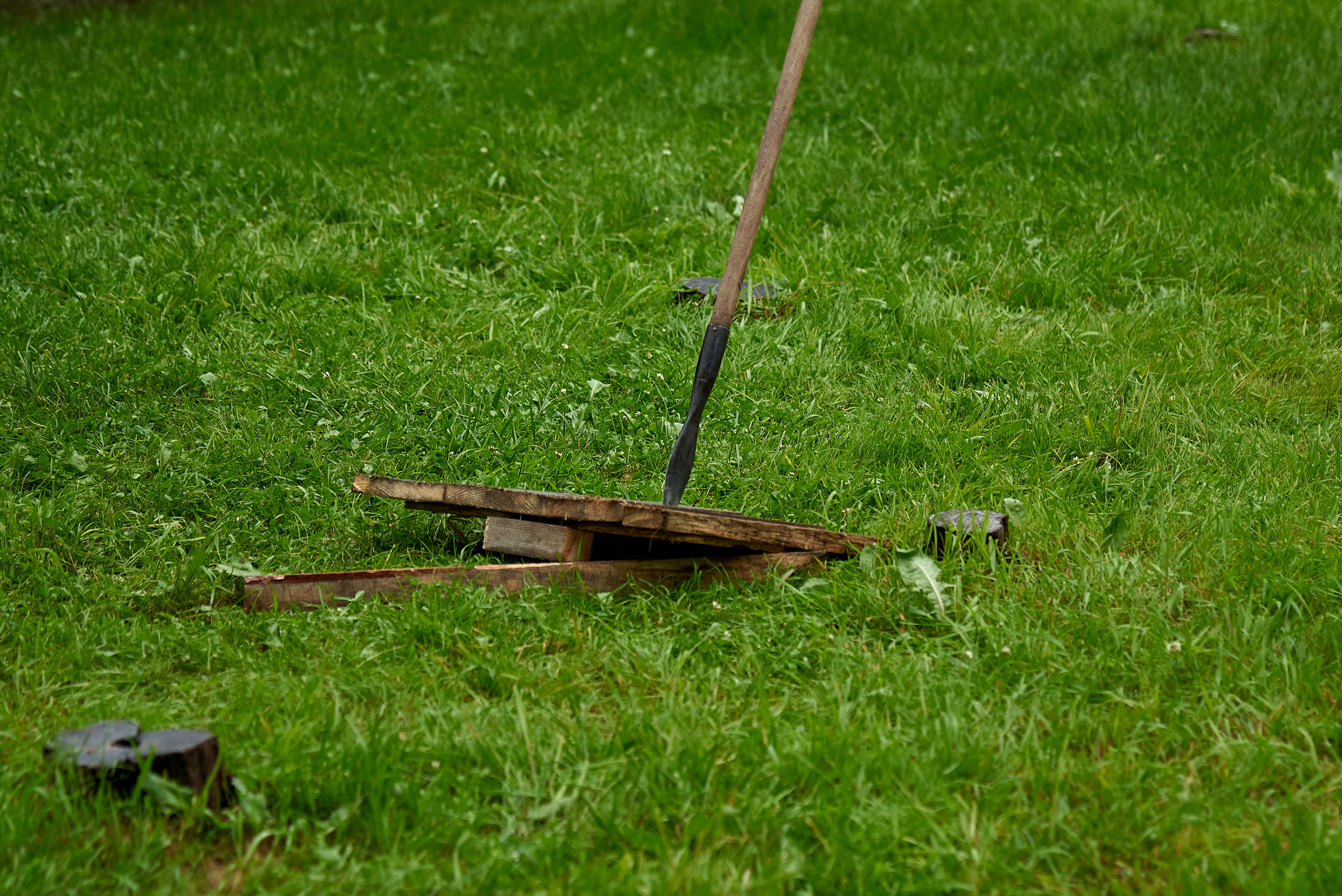 Алтайэнергосбыт. Спортивные эстафеты. Фотограф Опыт Качество Скорость Горный Алтай Барнаул