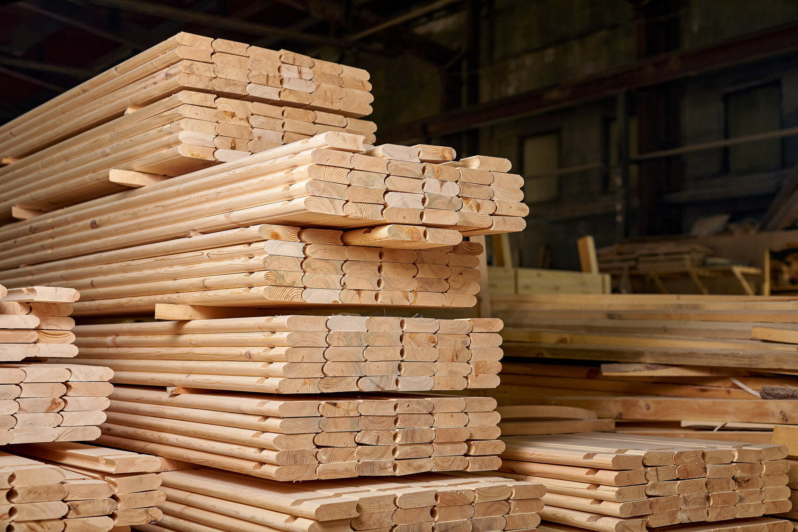 Алтайские мастера. Фотограф Опыт Качество Скорость Горный Алтай Барнаул